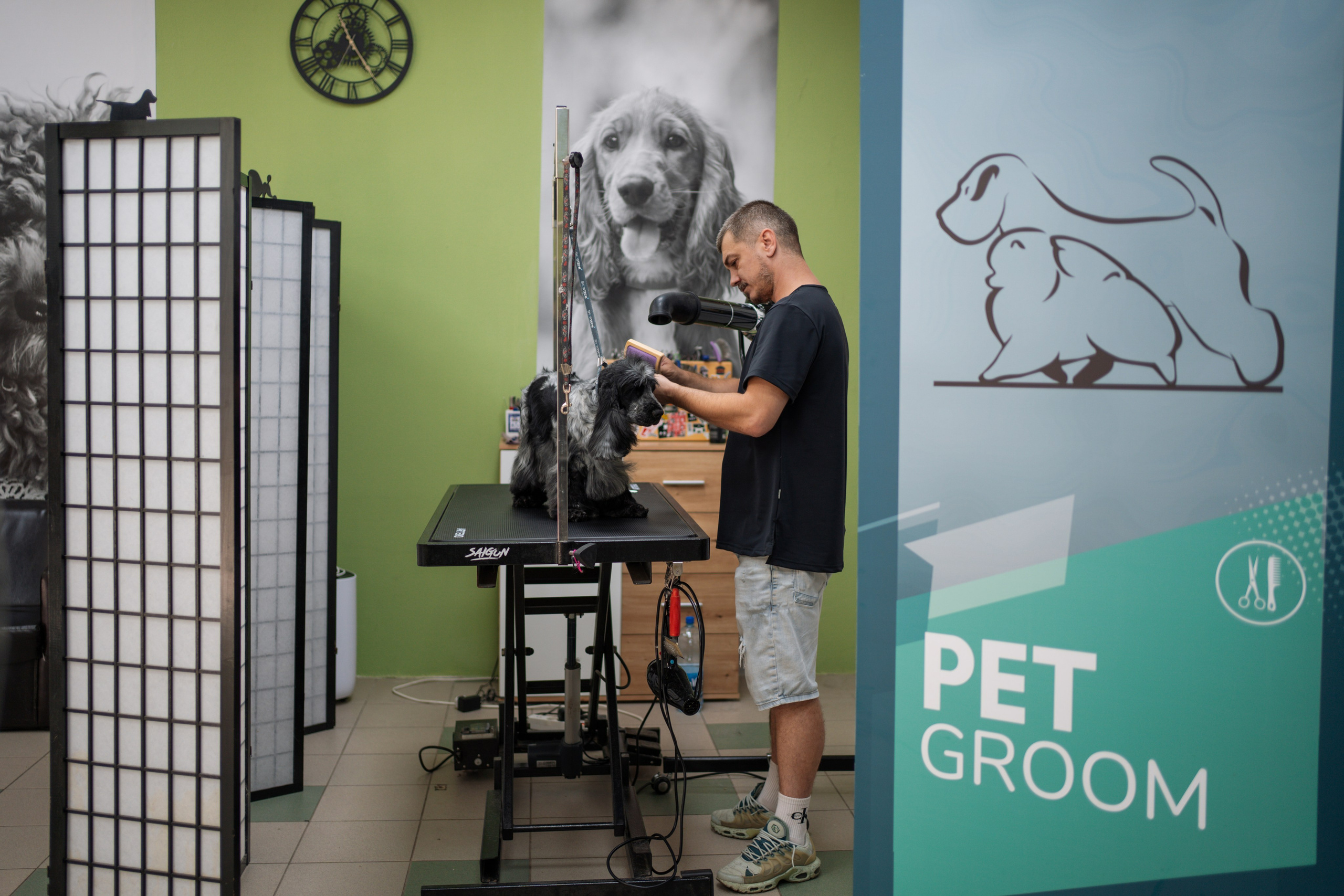 PetGroom Timisoara. Cozac Cristian Photographer