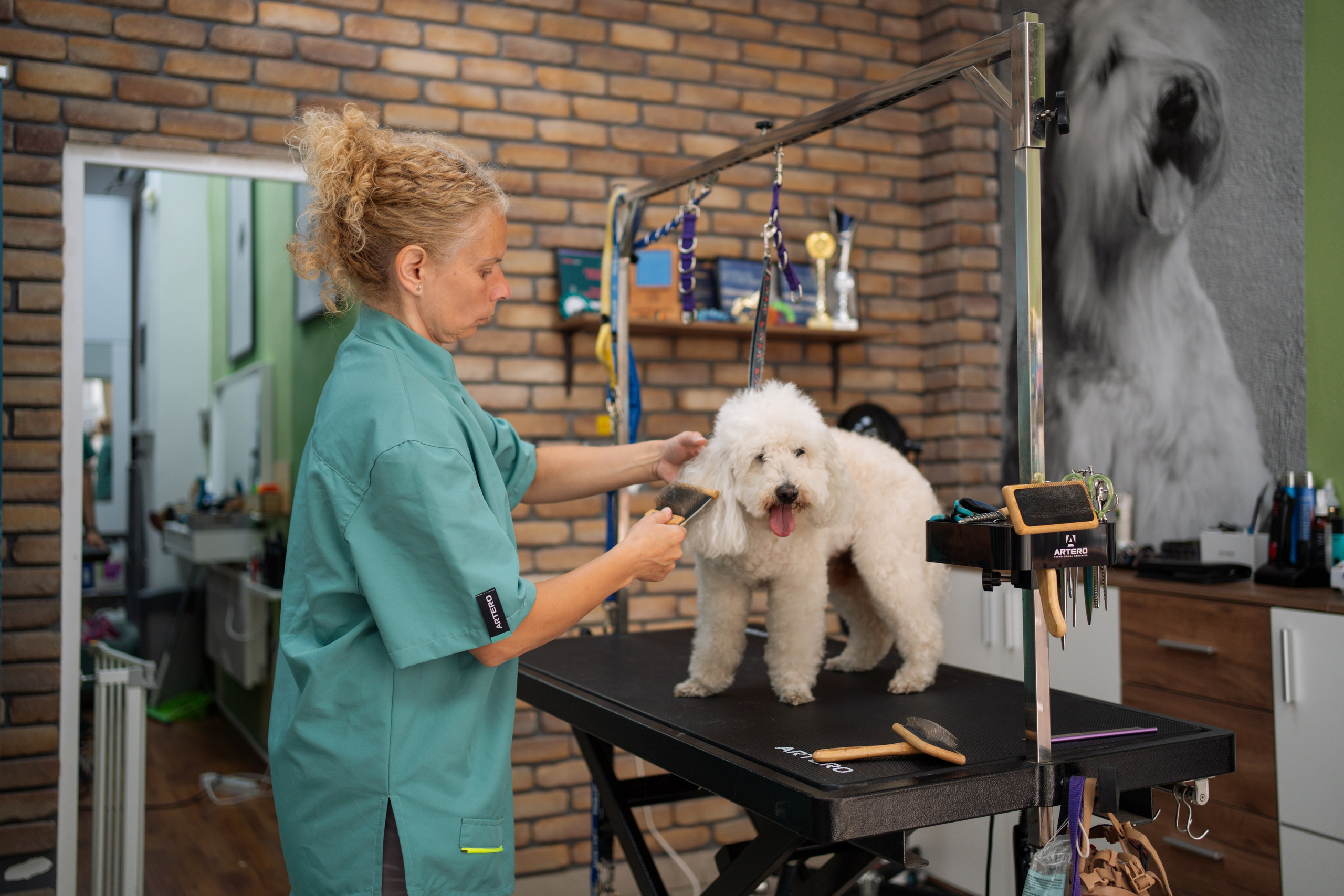 PetGroom Timisoara. Cozac Cristian Photographer