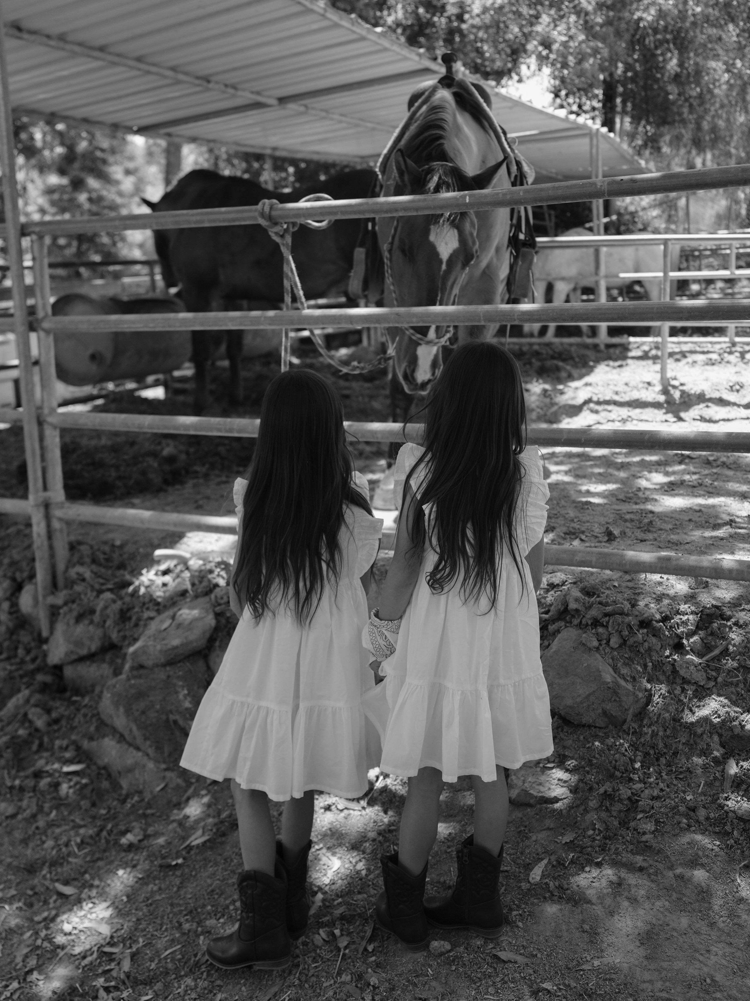 Children with horses. Фотограф и видеограф в США (и по всему миру) — Татьяна Иванова