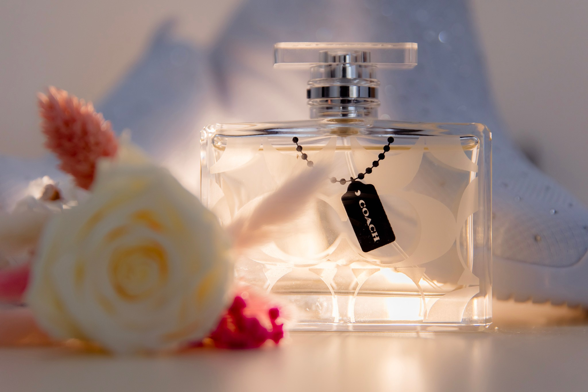 Mihai & Oana. Servicii foto-video profesionale, pentru momente de neuitat