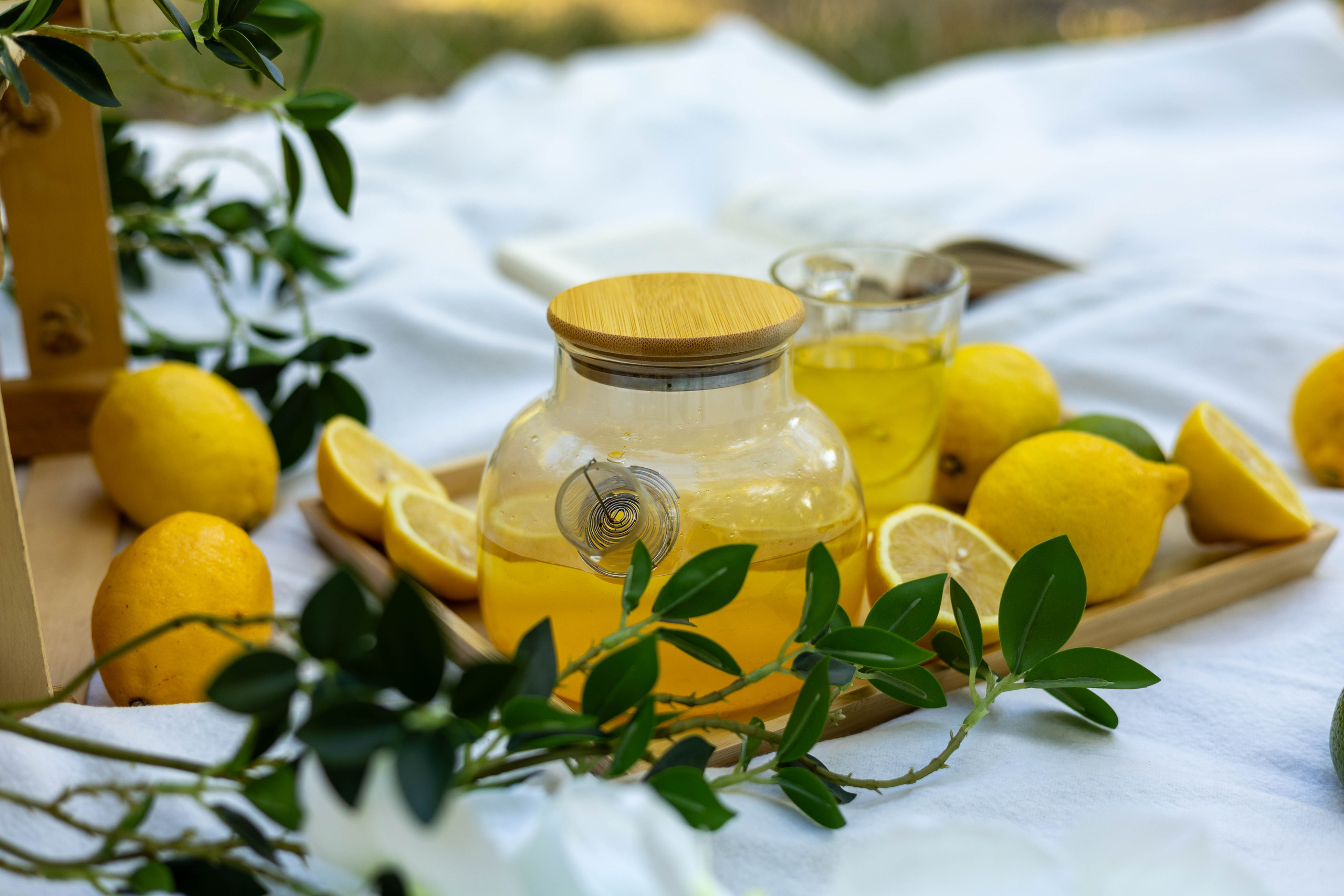 Фотосессия с лимонами Кишинев. Семейный фотограф Кишиневе, Молдова Врабий Ольга