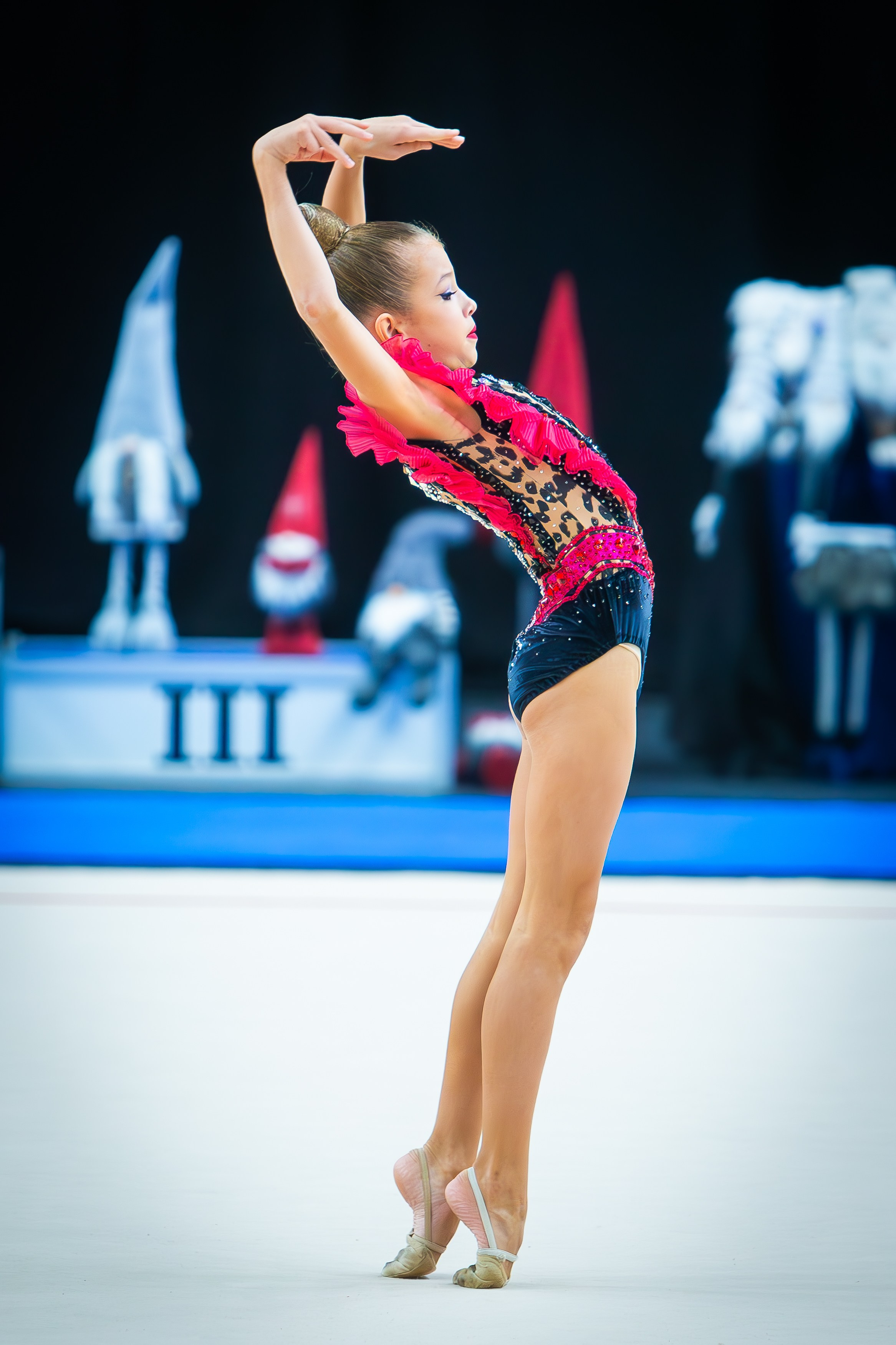 Галерея 2. Спортивная фотография, видео, трансляции