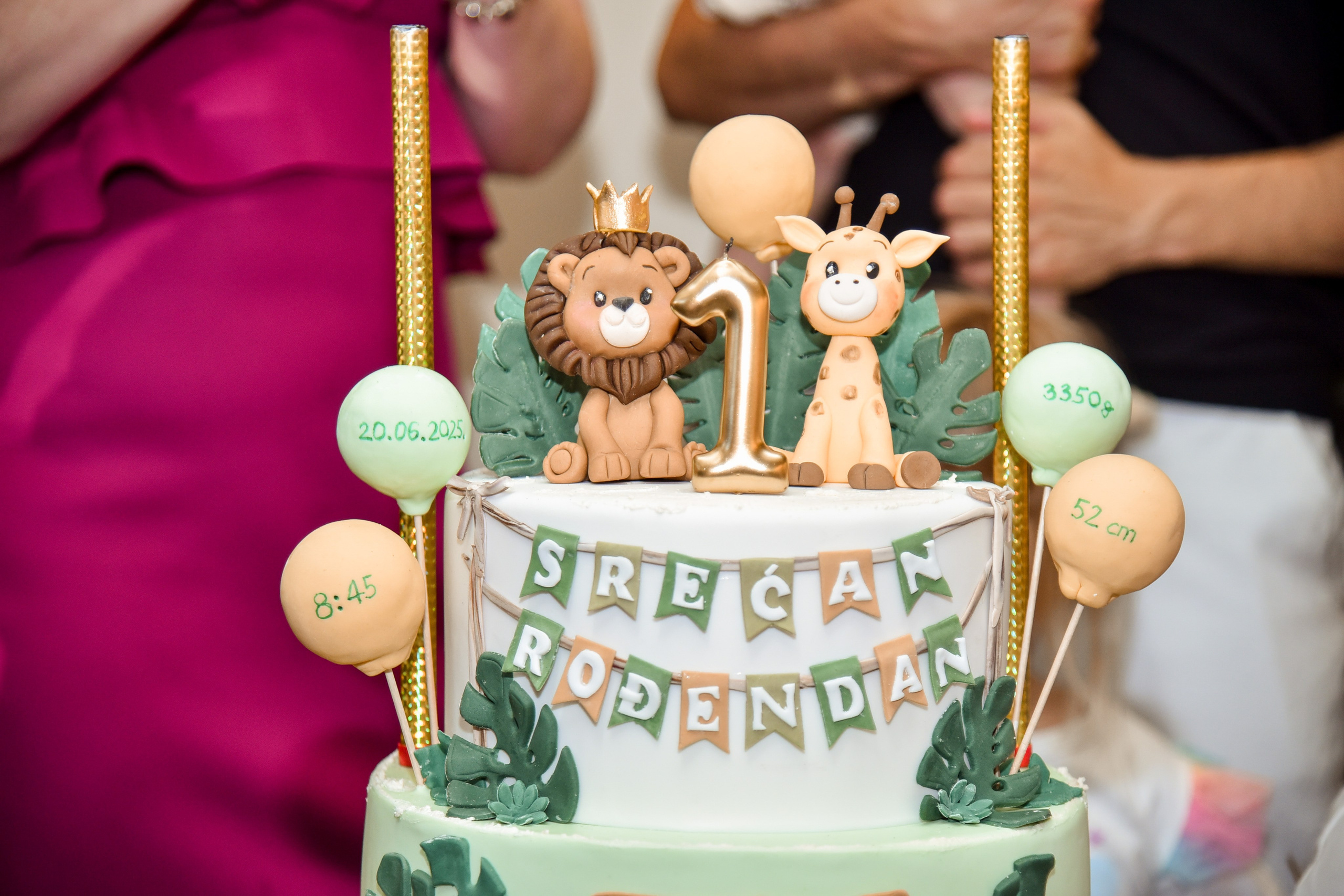 Proslava prvog rodjendana / celebrate first birthday