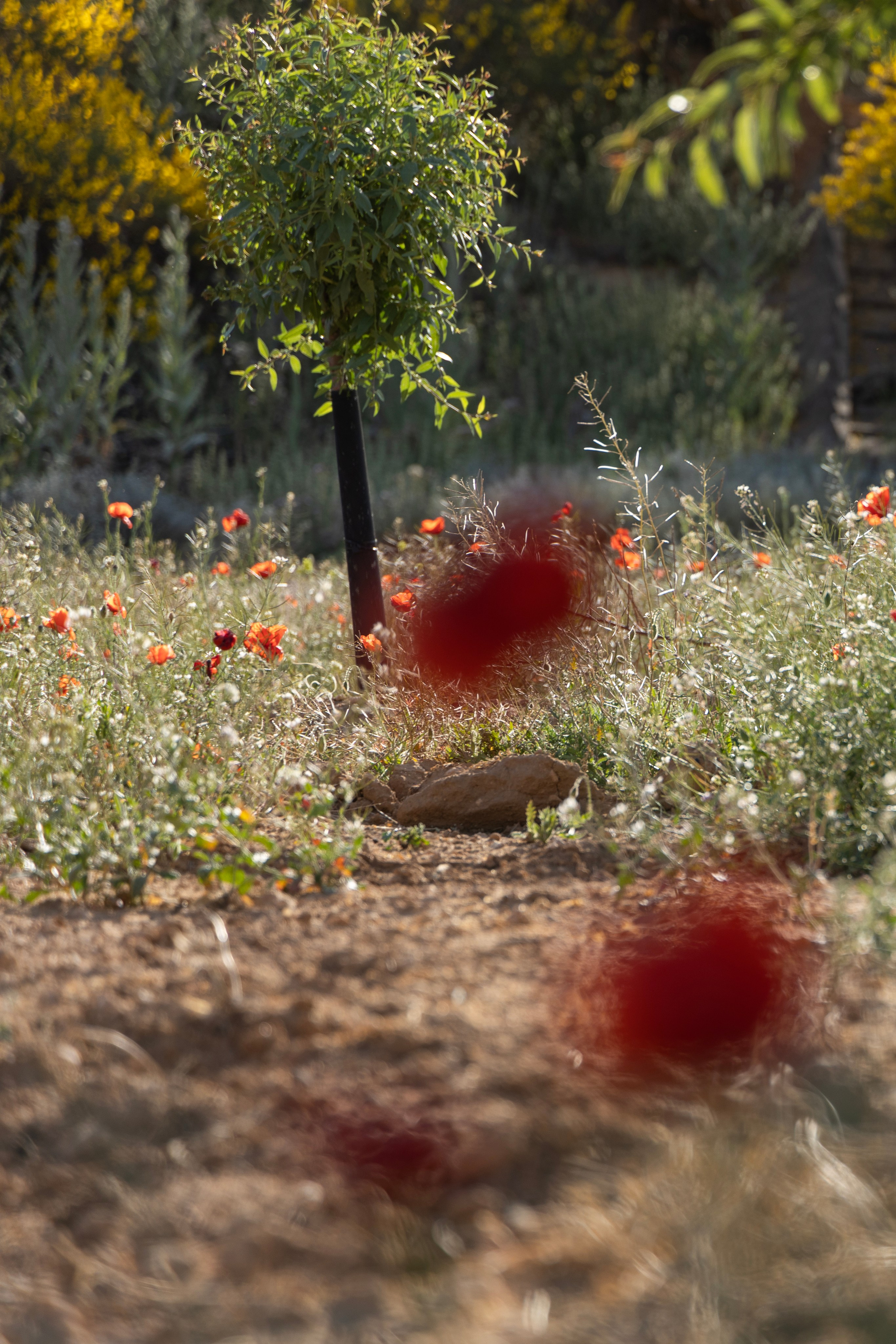 Directora, Fotógrafa y Artista en Valencia Natasha Bogomolova