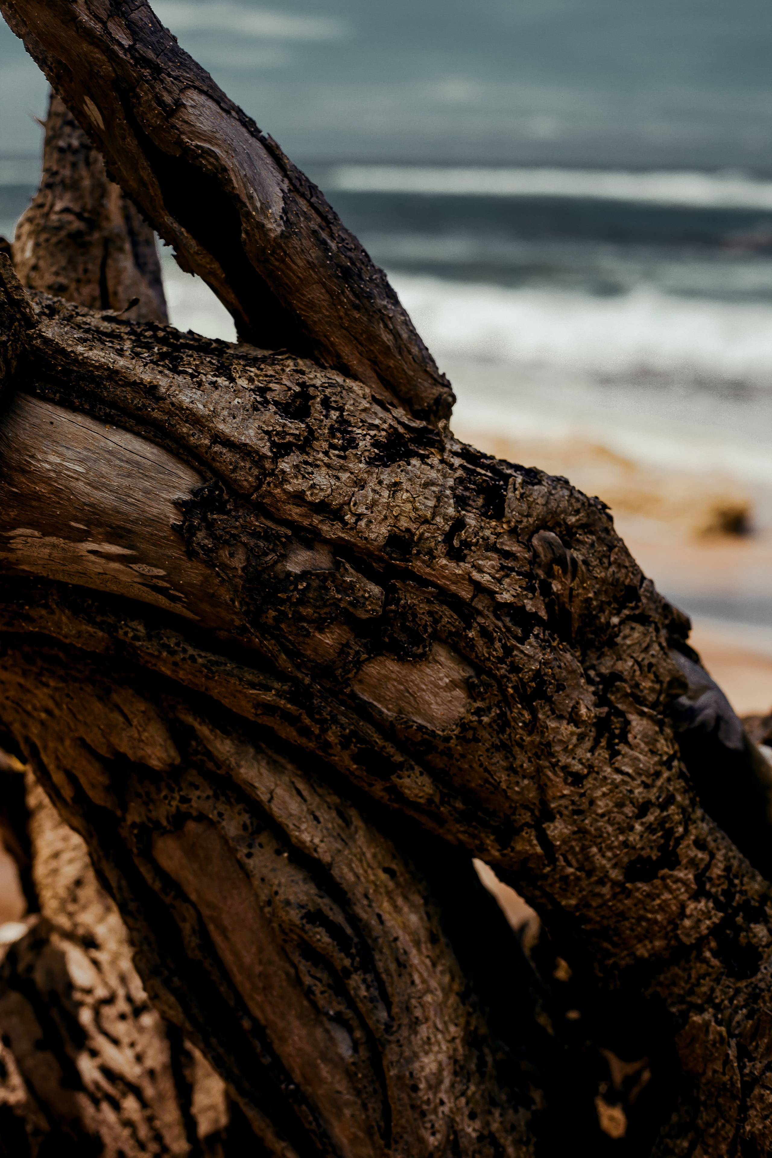 Sri Lanka. Art Photographer