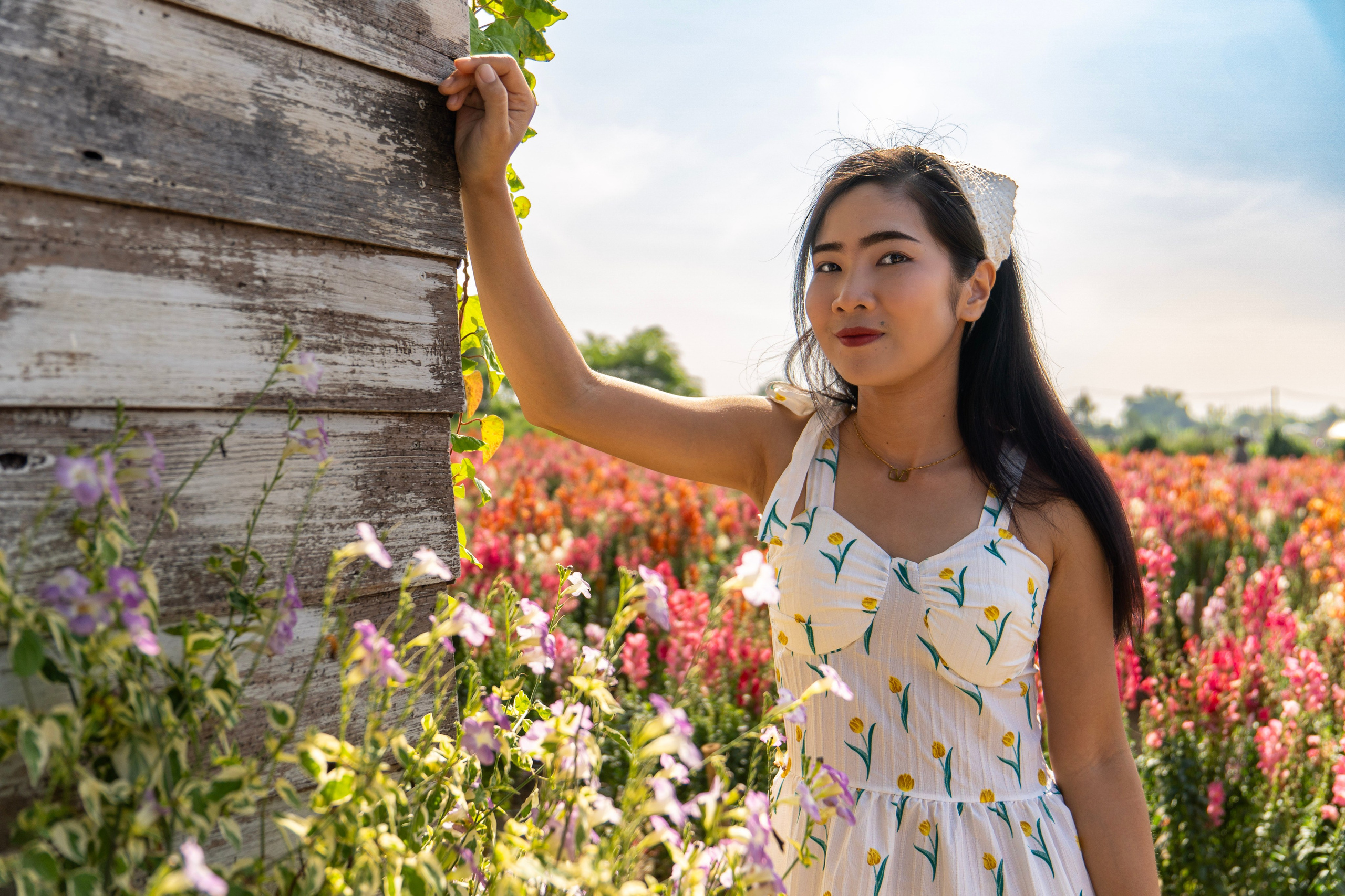 Pim. Art and outdoor photography