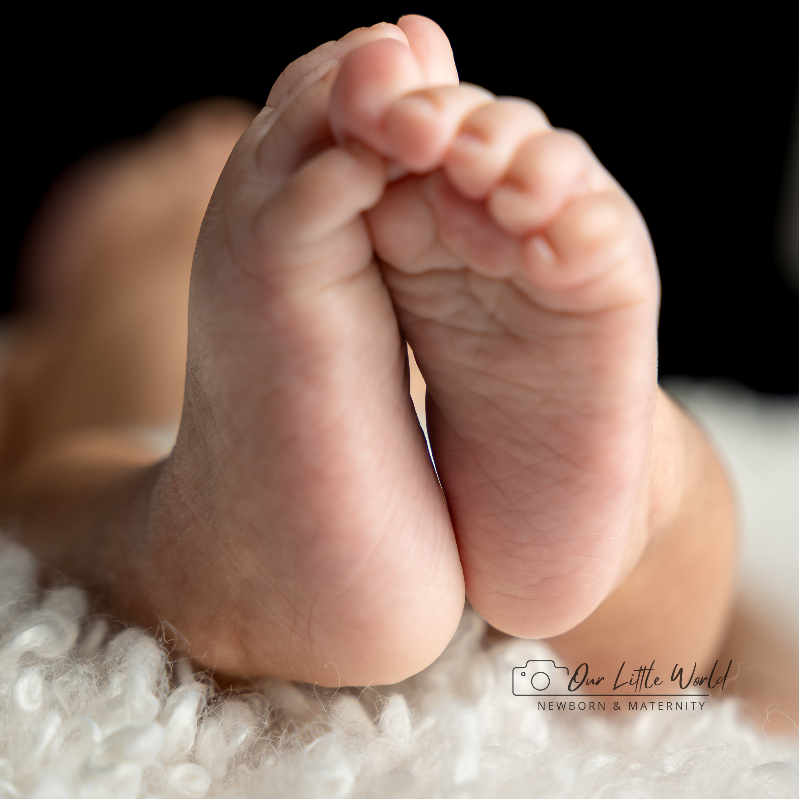 Newborn. Newborn, Maternity & Family Photographer — Our Little World Studio