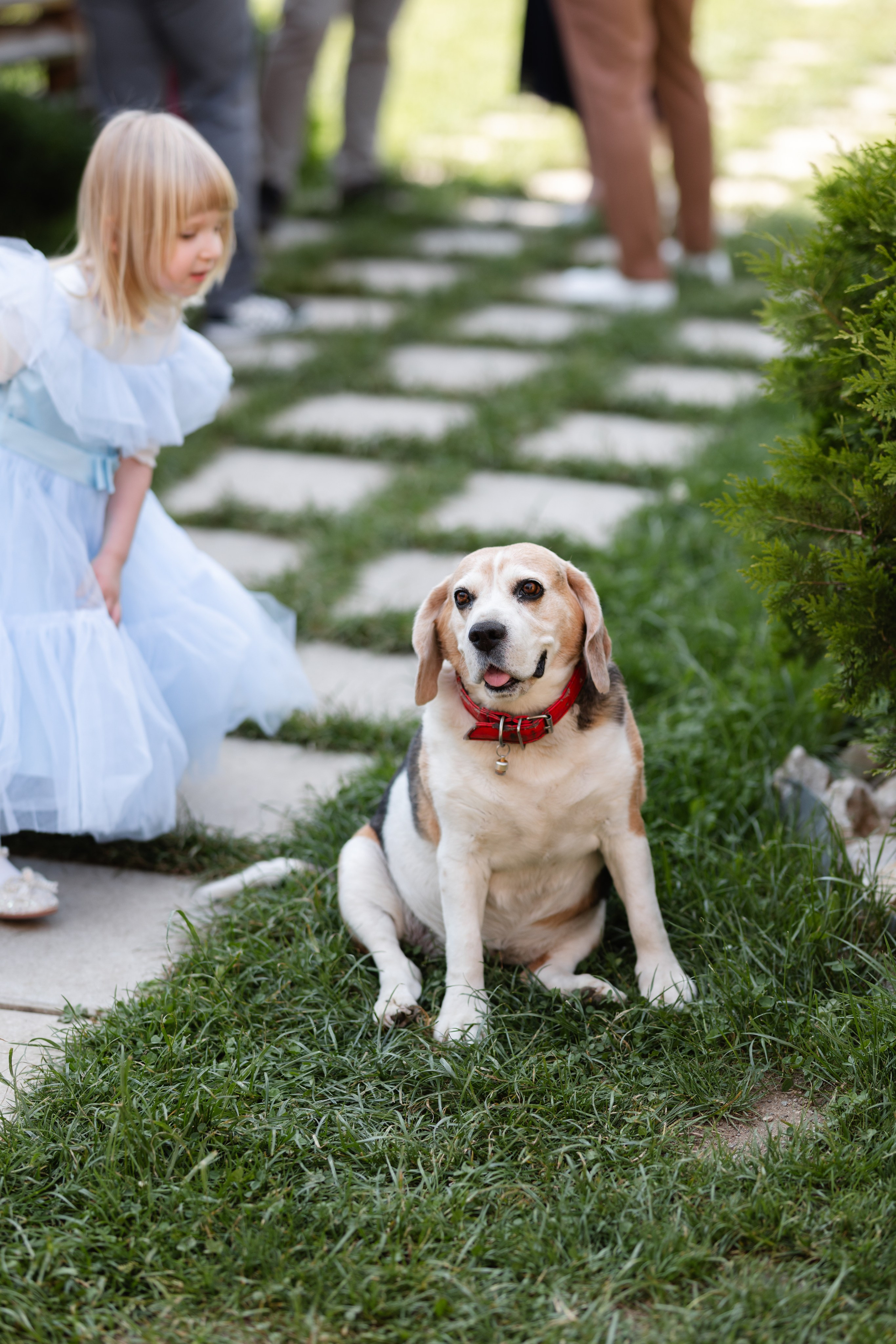 Flori & Cosmin. Main