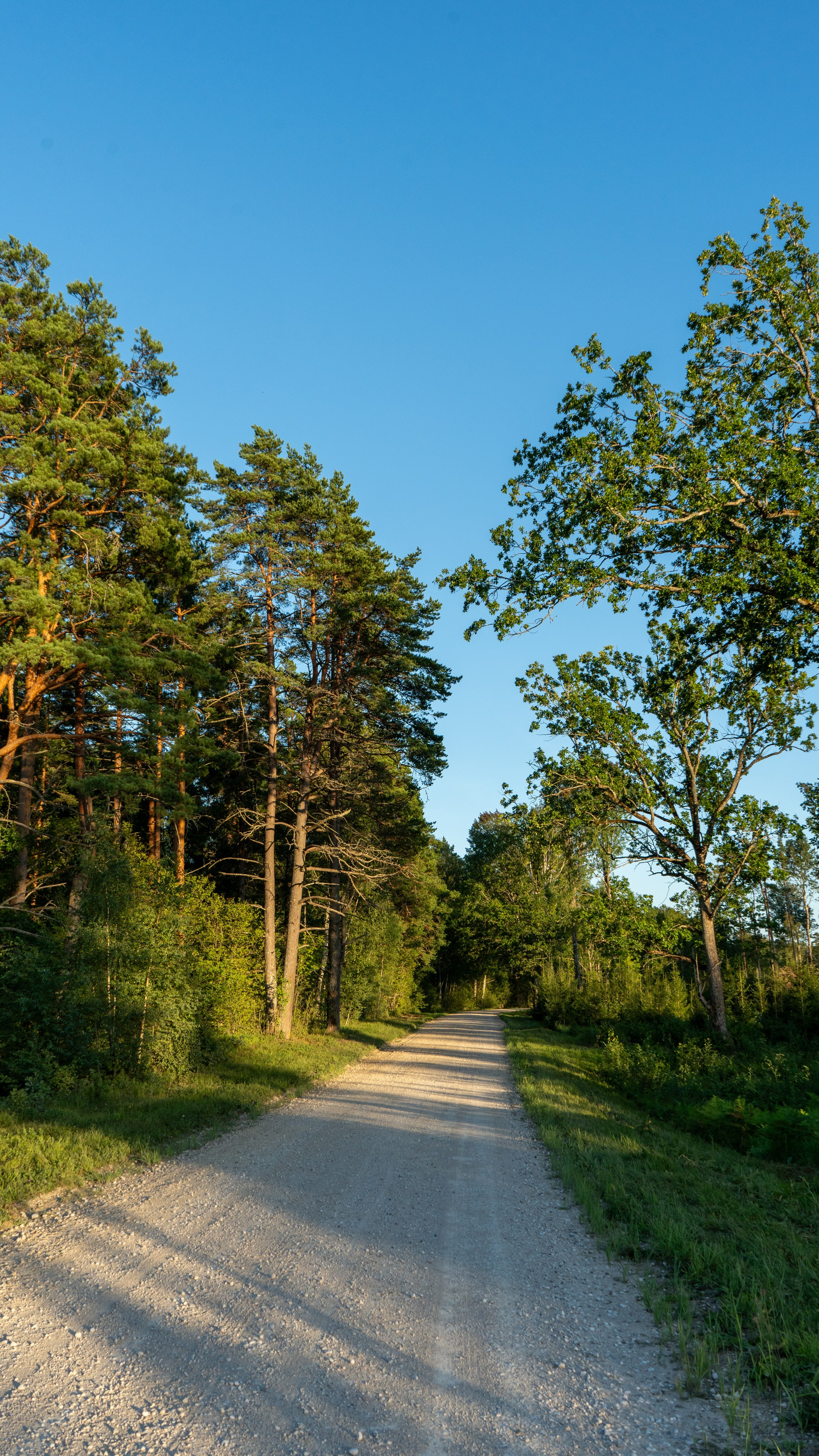 Whispers of Estonia. Photography | Videography | Marketing