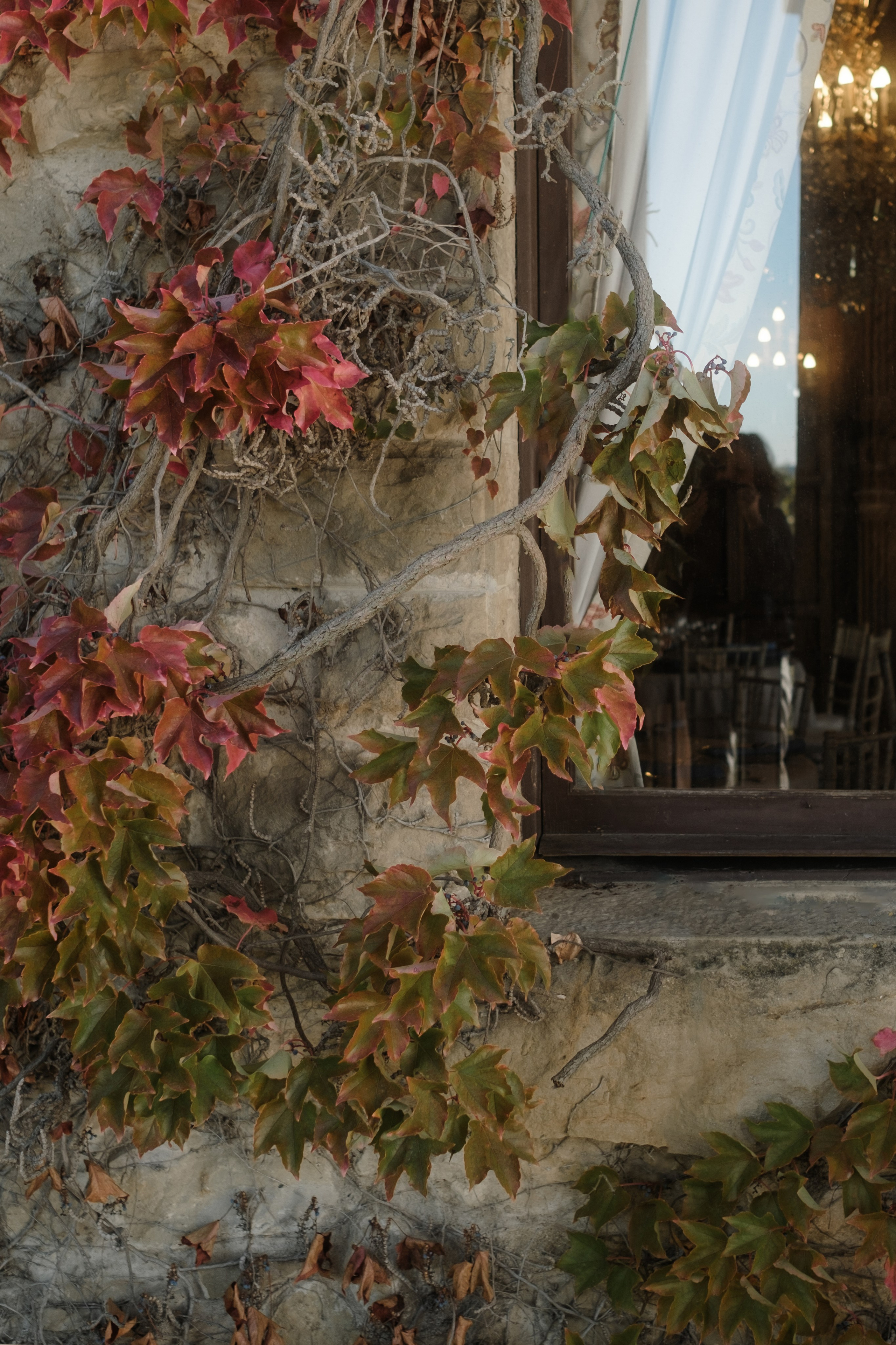 Morgan & Anthony. La Baronia. Paola wedding photographer / videographer in Barcelona