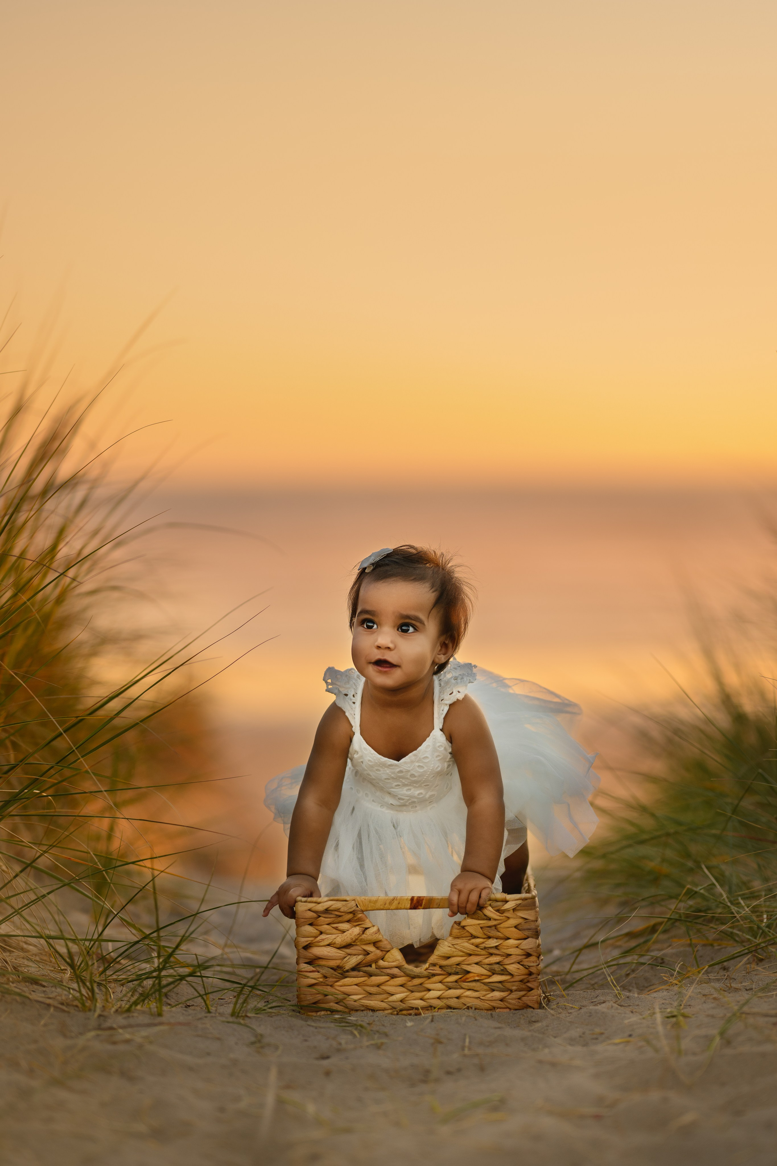 Praveena’s family. Wedding & portrait photography in the Seattle Area. Helen Michelle photographer