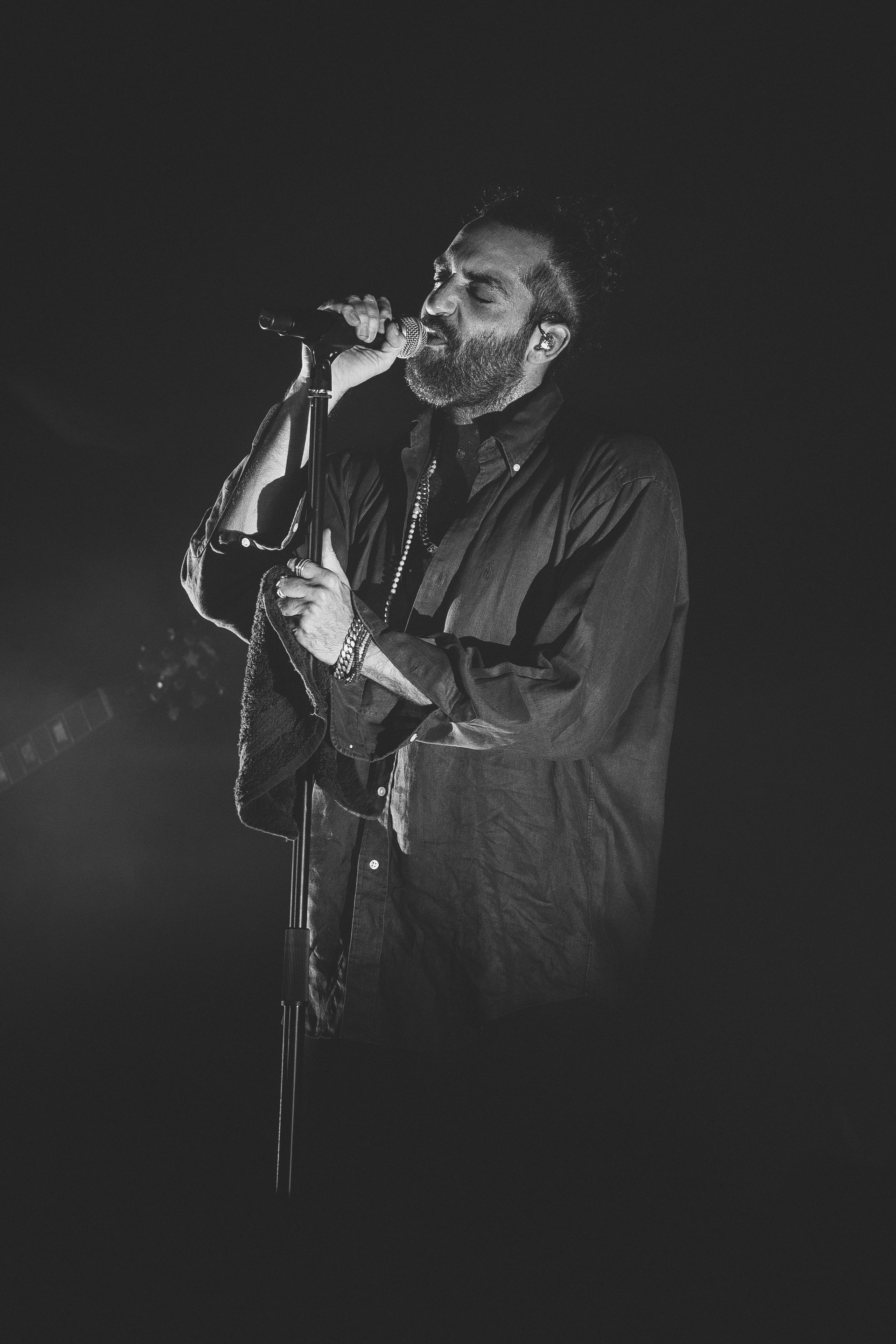 Shows. Noam Paradise Photographer