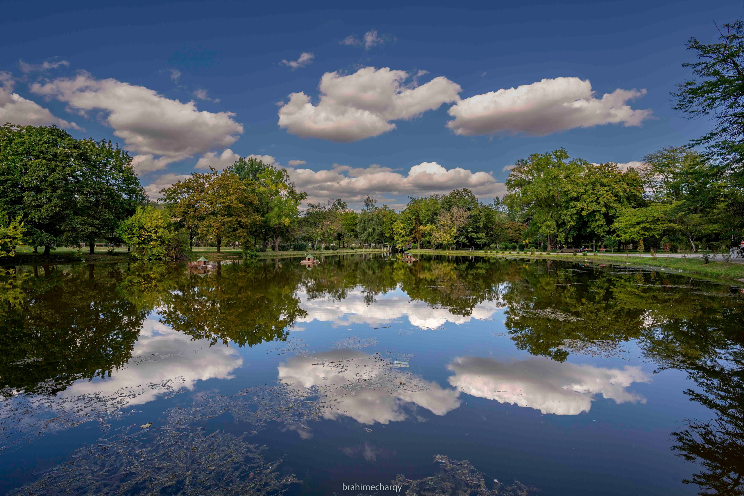 Фото. Брахим — фотограф