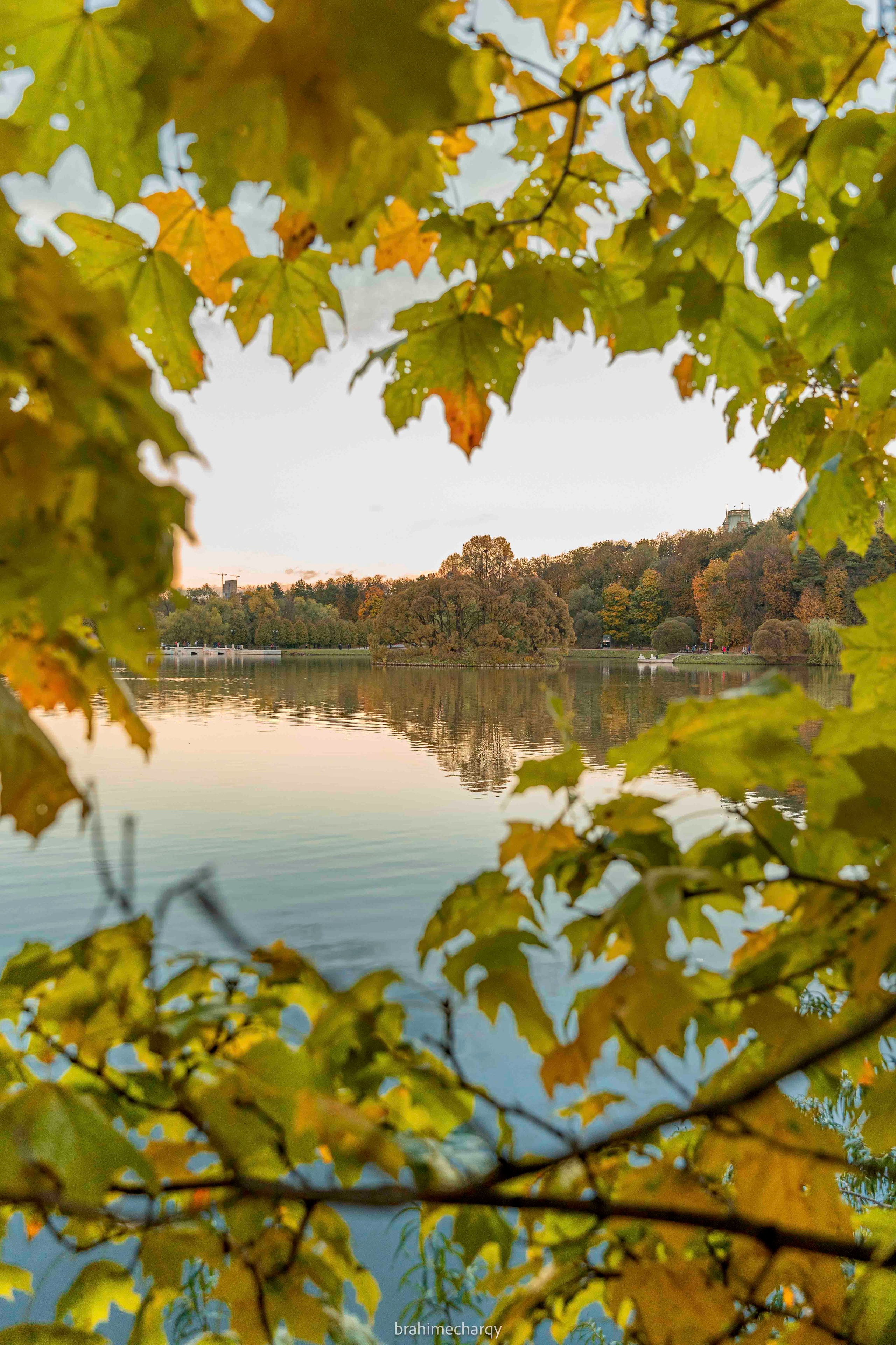 Фото. Брахим — фотограф