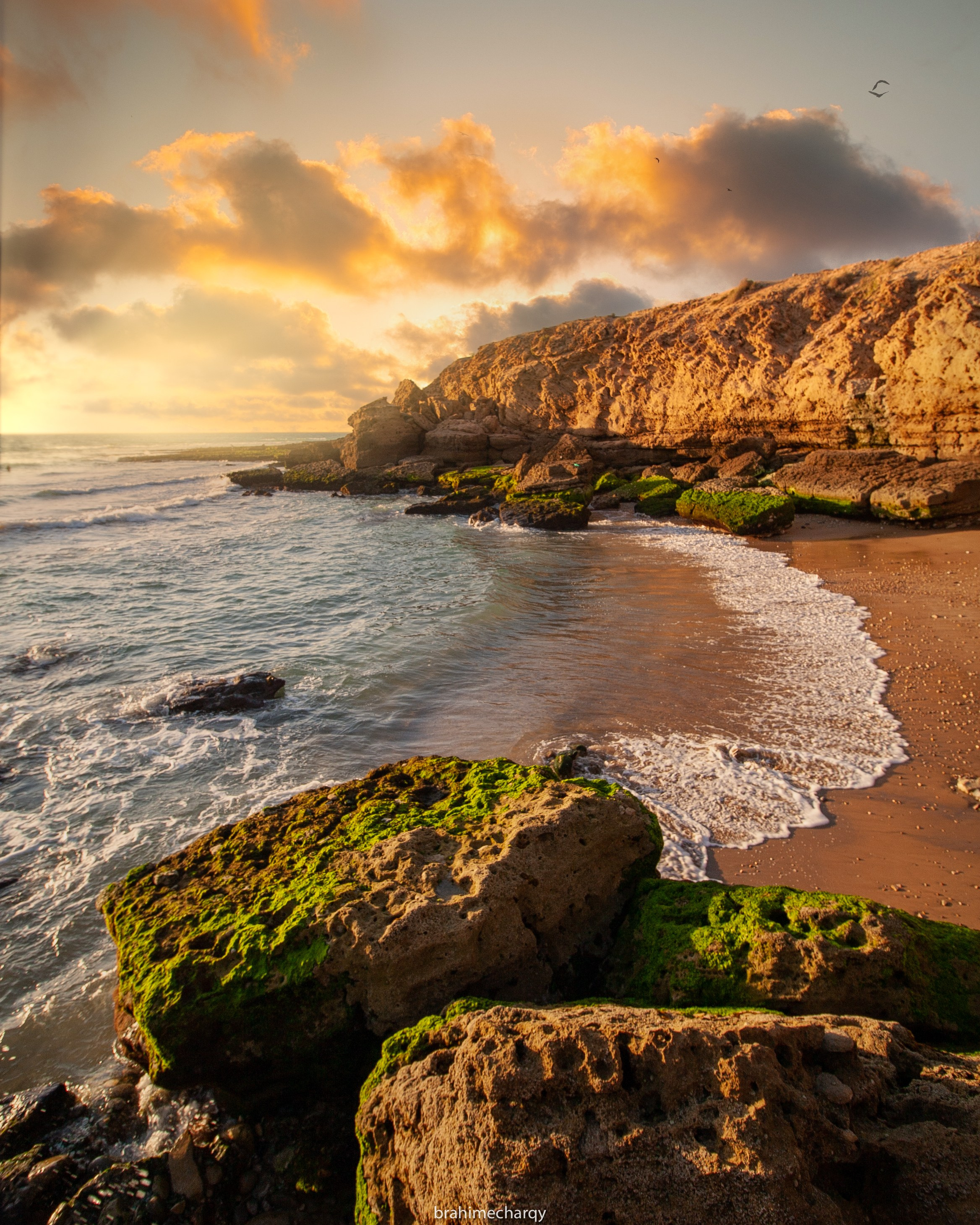 Фото. Брахим — фотограф