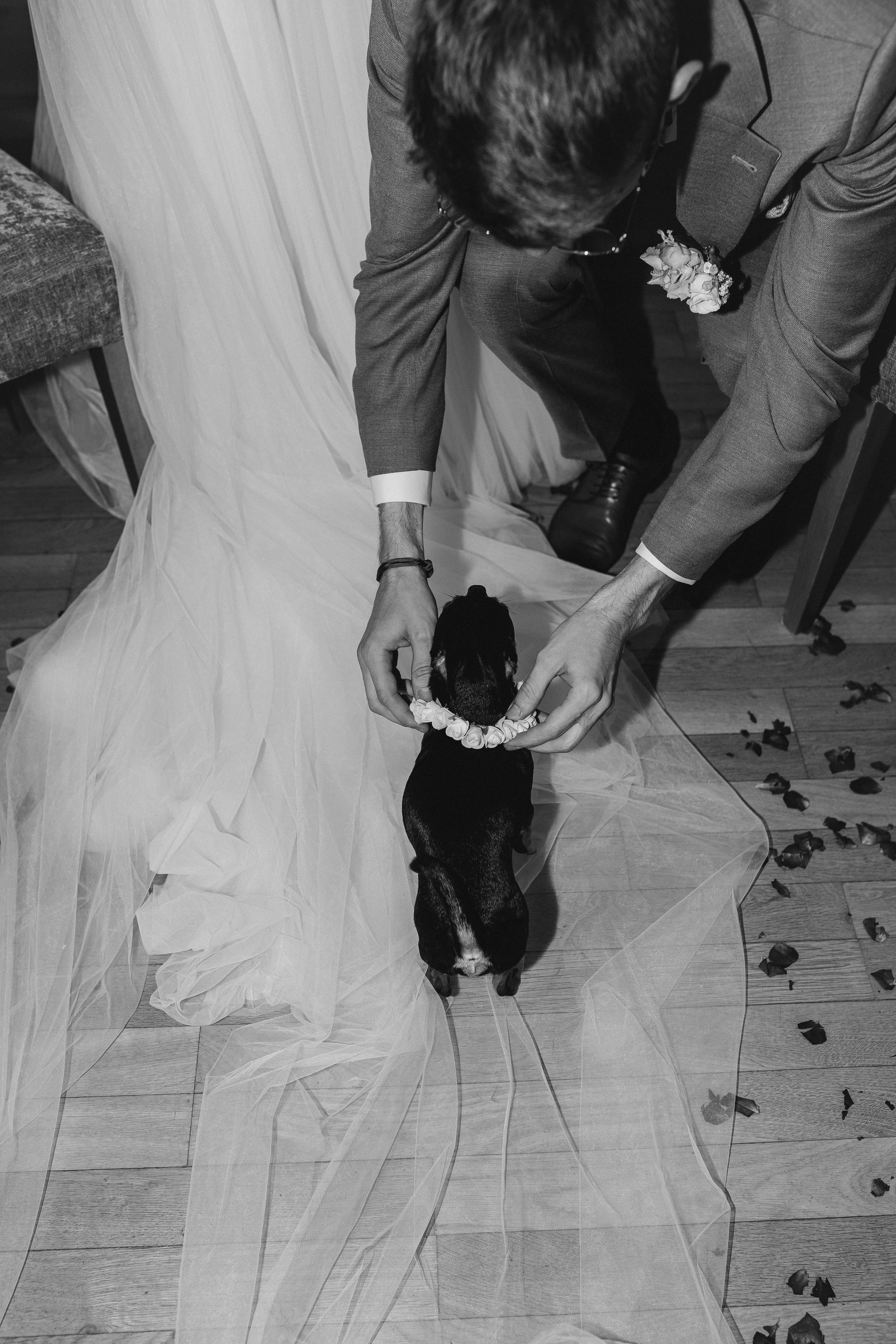 Hochzeitfotografin. Familien-, Hochzeits- und Newbornfotografin Neustadt an der Weinstraße