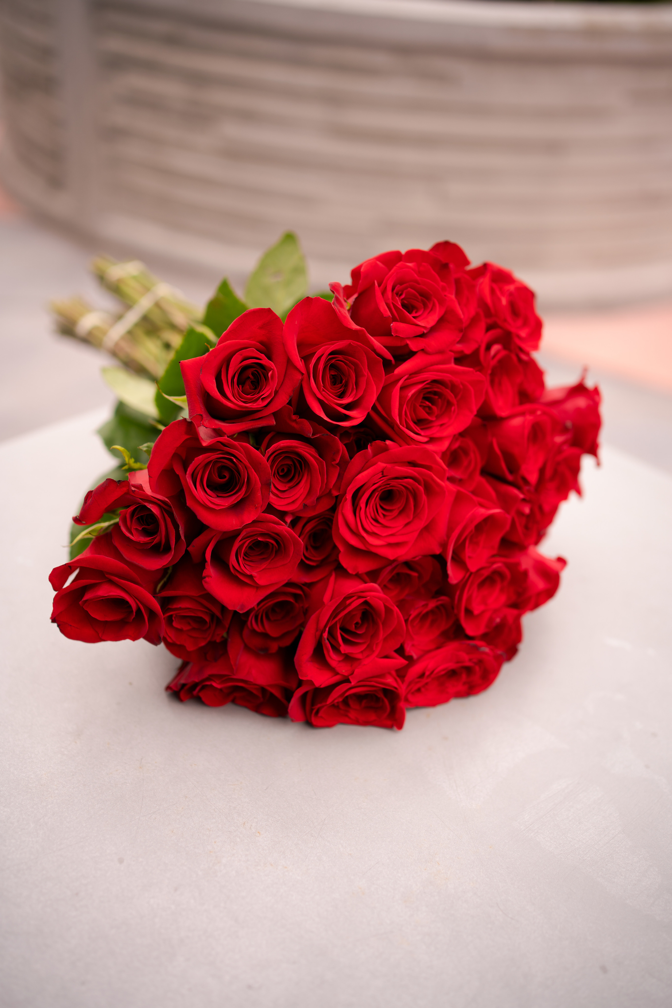 Graduation. Sacramento Photographer — Olga Maltseva based in California