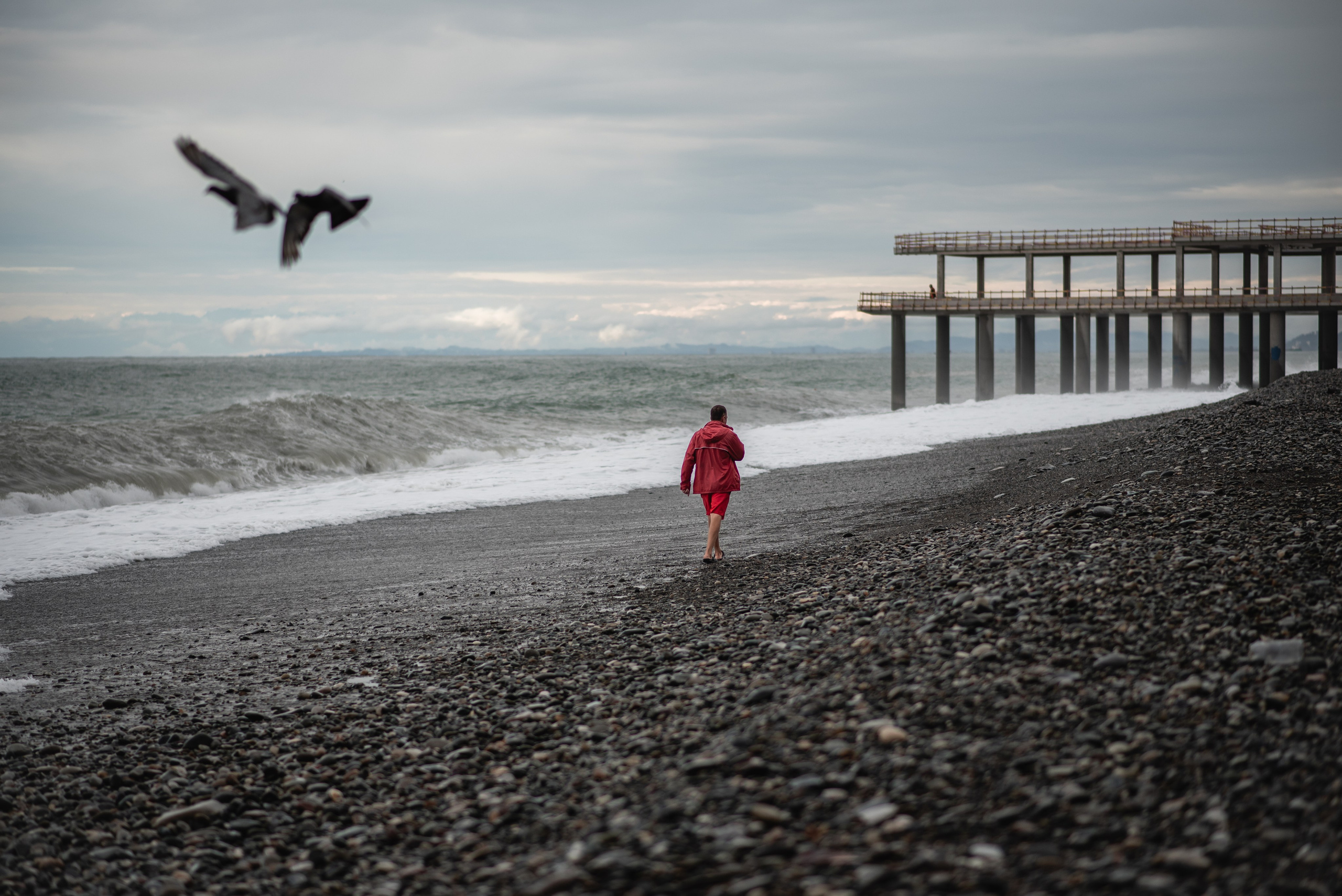 Lifeguard. Ekaterina Verbitskaya. Photography