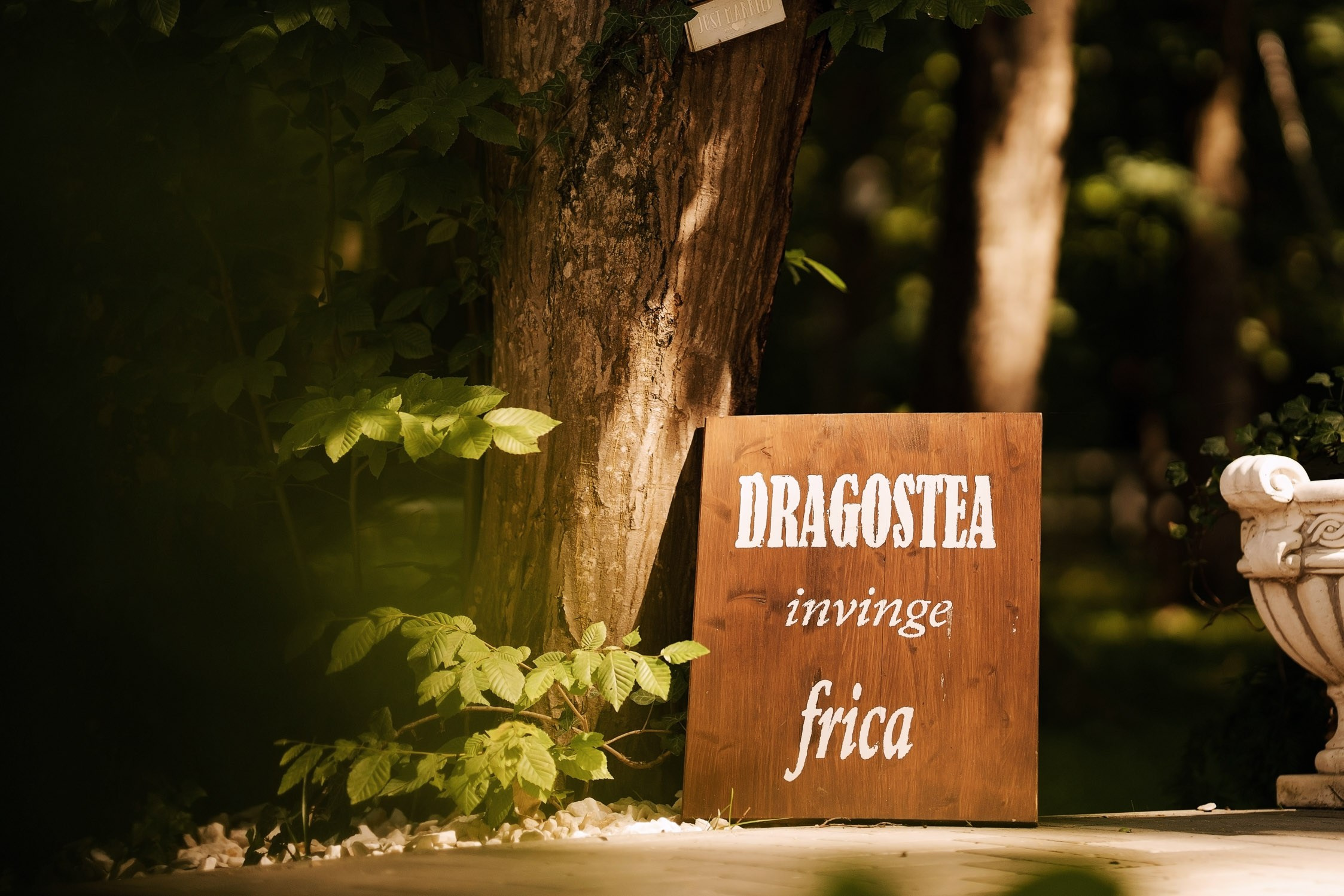 Flavia & Cosmin (partea a II-a). Fotograf evenimente. Fotograf nunta. Fotograf Botez. Mihaela Savu