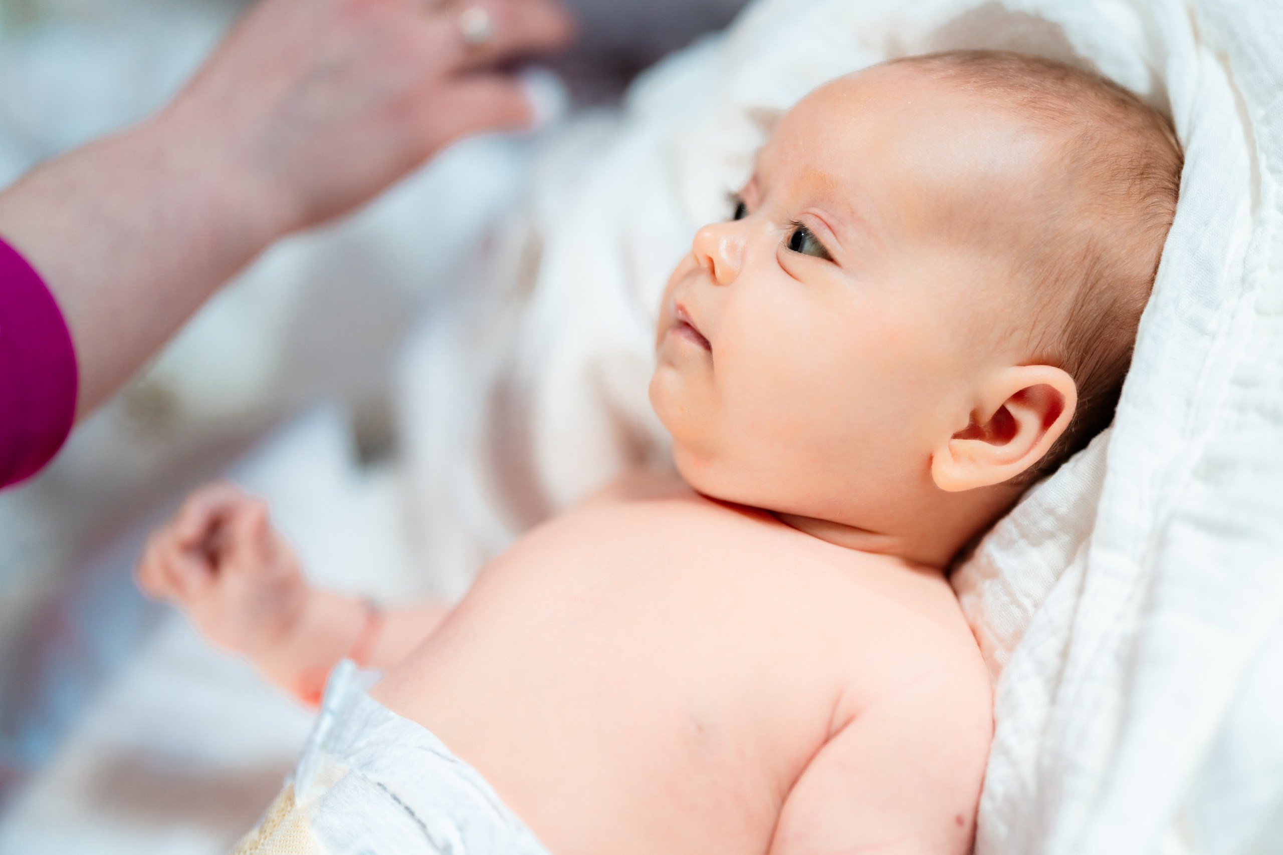 fotograf botez Miruna Parascheva, fotografie botez Botoșani, fotograf Alin Chirilă, amintiri botez, fotografii botez, botez Miruna Parascheva, fotograf copii, fotografie botez în Botoșani-alt="botez Miruna Parascheva, fotografie botez Alin Chirilă, amintiri botez, fotografii emoționante botez Botoșani"-- fotografii-botez-bebelus- amintiri-botez-micuț- moment-sfânt-crestinare- fotografie-emotionanta-botez- detalii-botez-bebelusi- parinti-fericiti-la-botez- fotograf-botez-profesionist- botez-in-biserica-ortodoxa- micuț-botezat-cu-emoție- zâmbete-și-lacrimi-la-botez- bebeluș-la-cristelniță- decor-botez-colorat- botez-cu-dragoste-și-credință- emotie-pura-la-botez- fotograf-botez-botosani- botez-iasi-suceava-fotograf- amintiri-nepretuite-botez