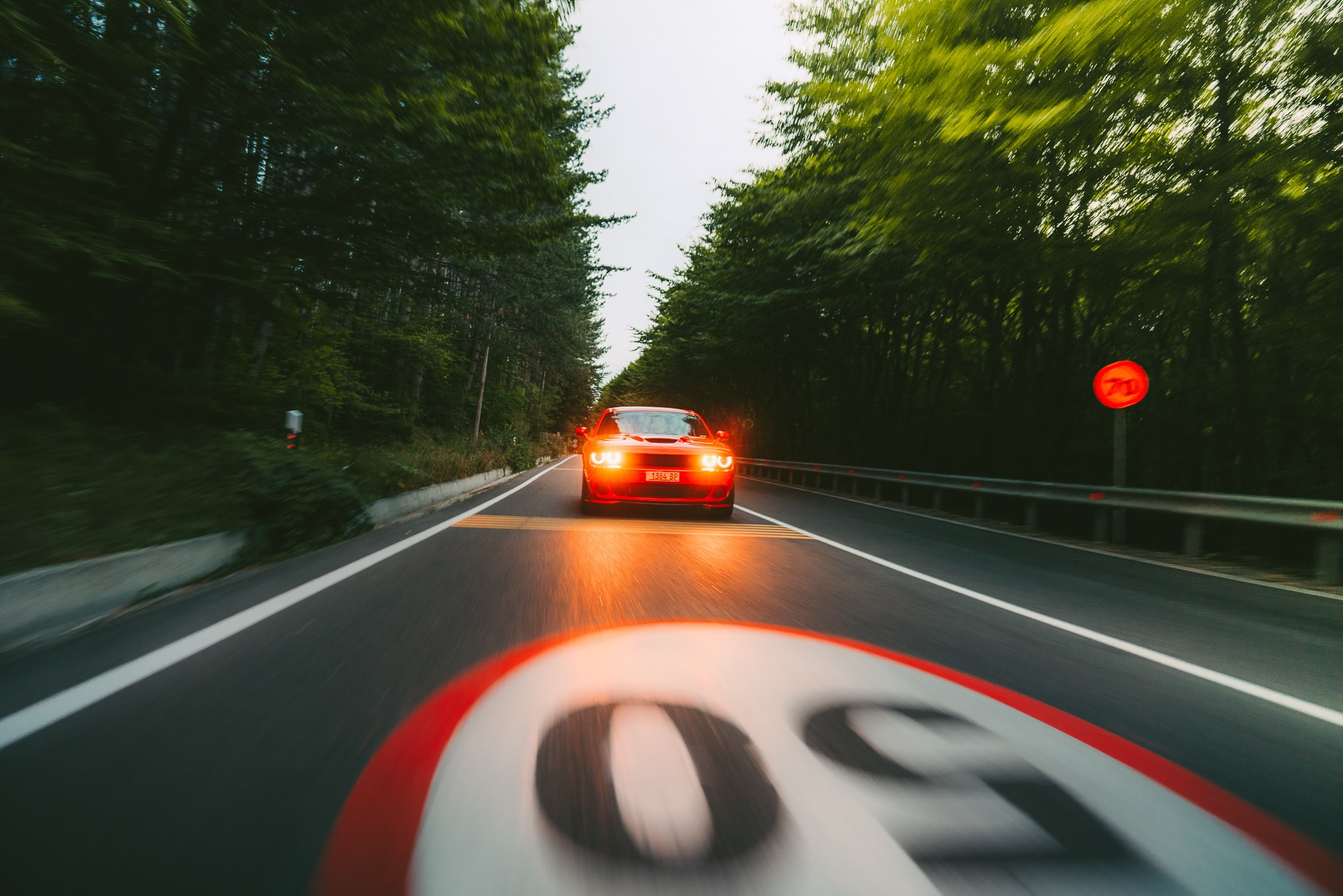 DODGE. Merabi Eminashvili