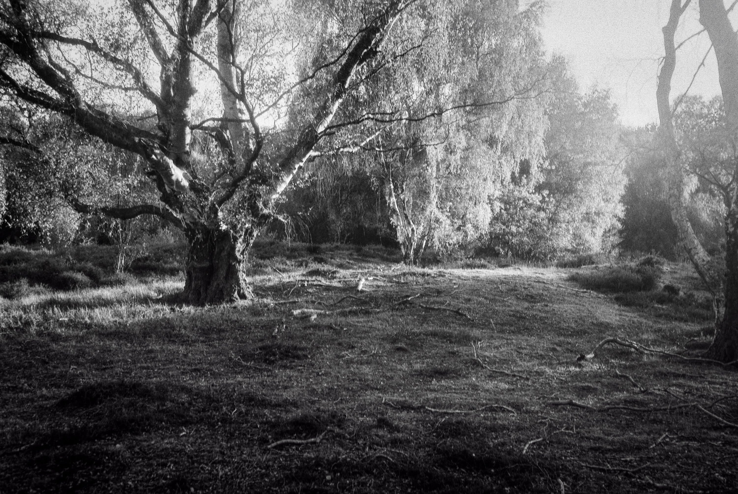 Trying a 1955 Baldalux Folder Camera for Film Photography. Hedley Wright Photography | East Anglia Sport, Street, Wildlife, Landscape & Astrophotography