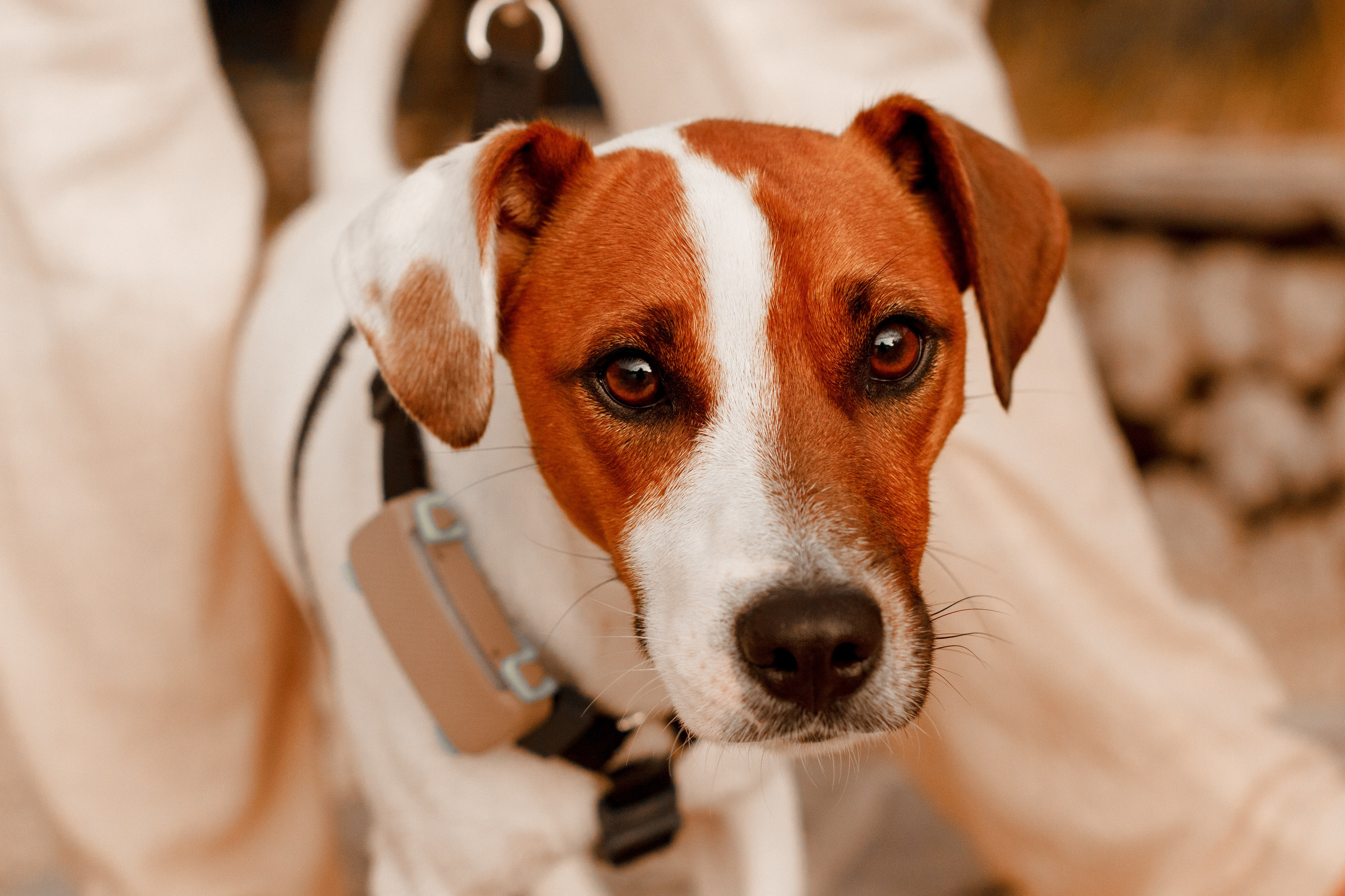 Love Story. Семейный, детский, женский фотограф в Черногории
