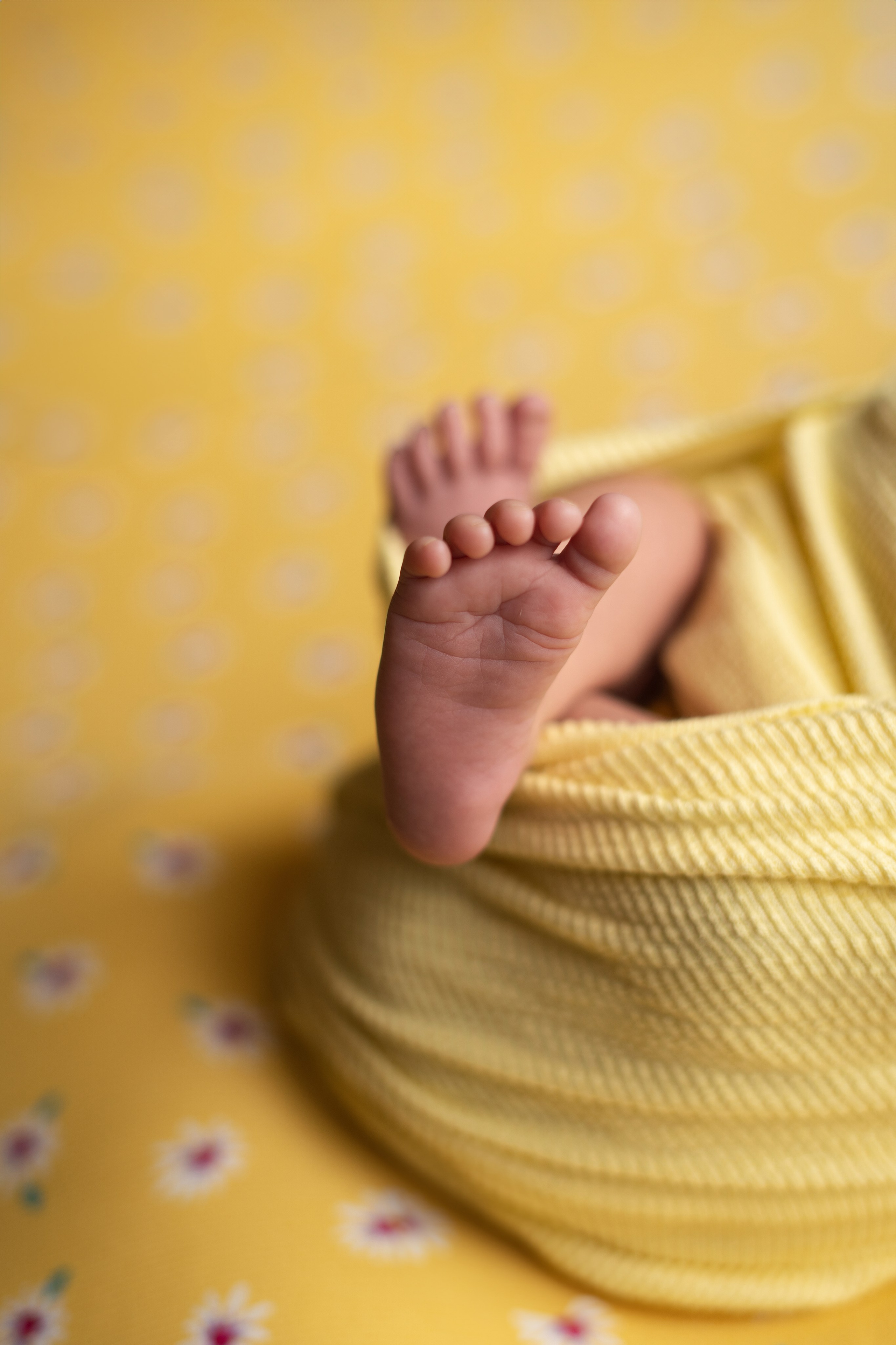 Newborn Photography — Capturing Your Baby’s First Precious Moments. Julia Bolgov Photography | Newborn, Family, Maternity & Milestone Photographer in Bay Area, CA