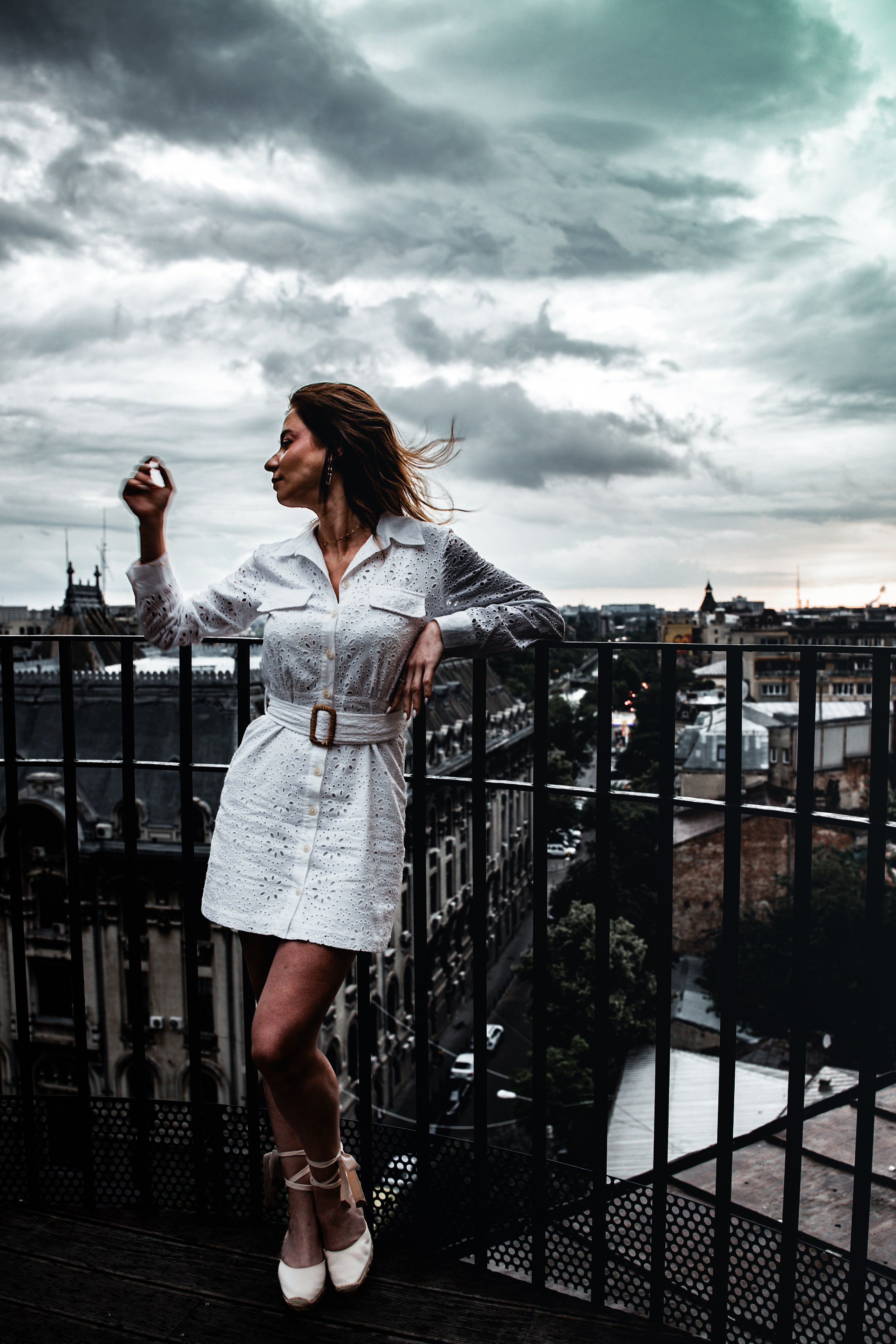 Elegance in the Clouds. Cadre de catifea