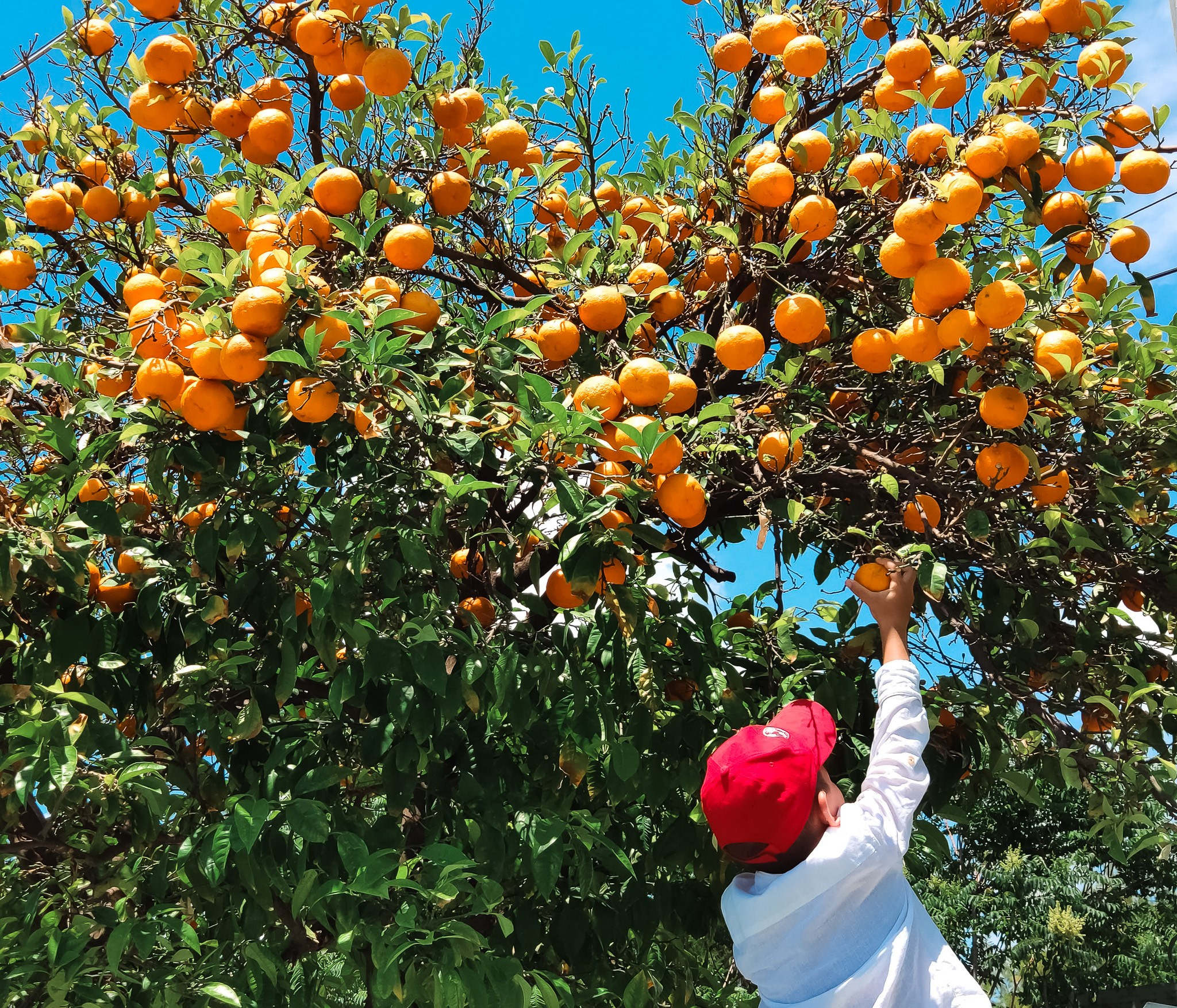 MOBILE PHOTO. UNRATED PHOTO