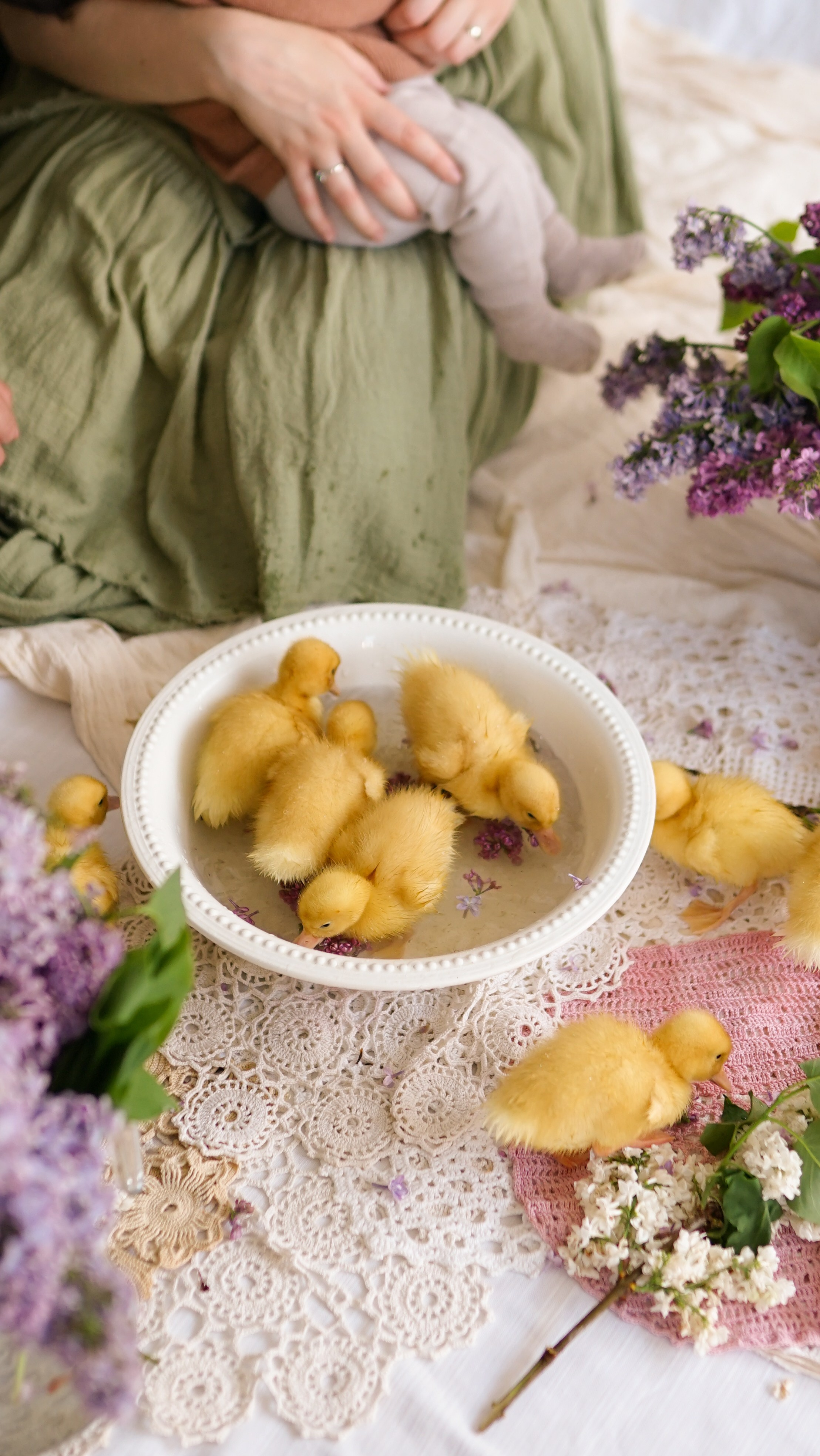 Ședințe Foto de Paște Brașov: Gălbenuș | Mădălina Beda. Madalina Beda- Artist vizual, fotograf, doula la nastere, consultant babywearing Brasov si in toata tara