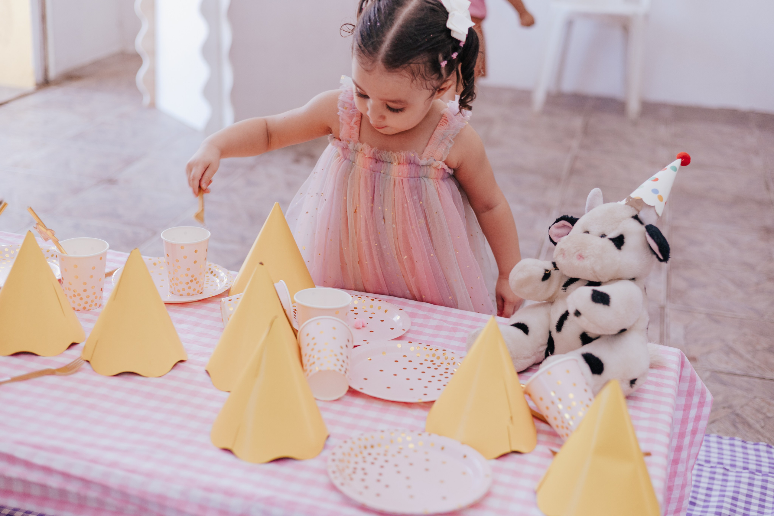 Cecília 2 anos. Fotografia de família e parto