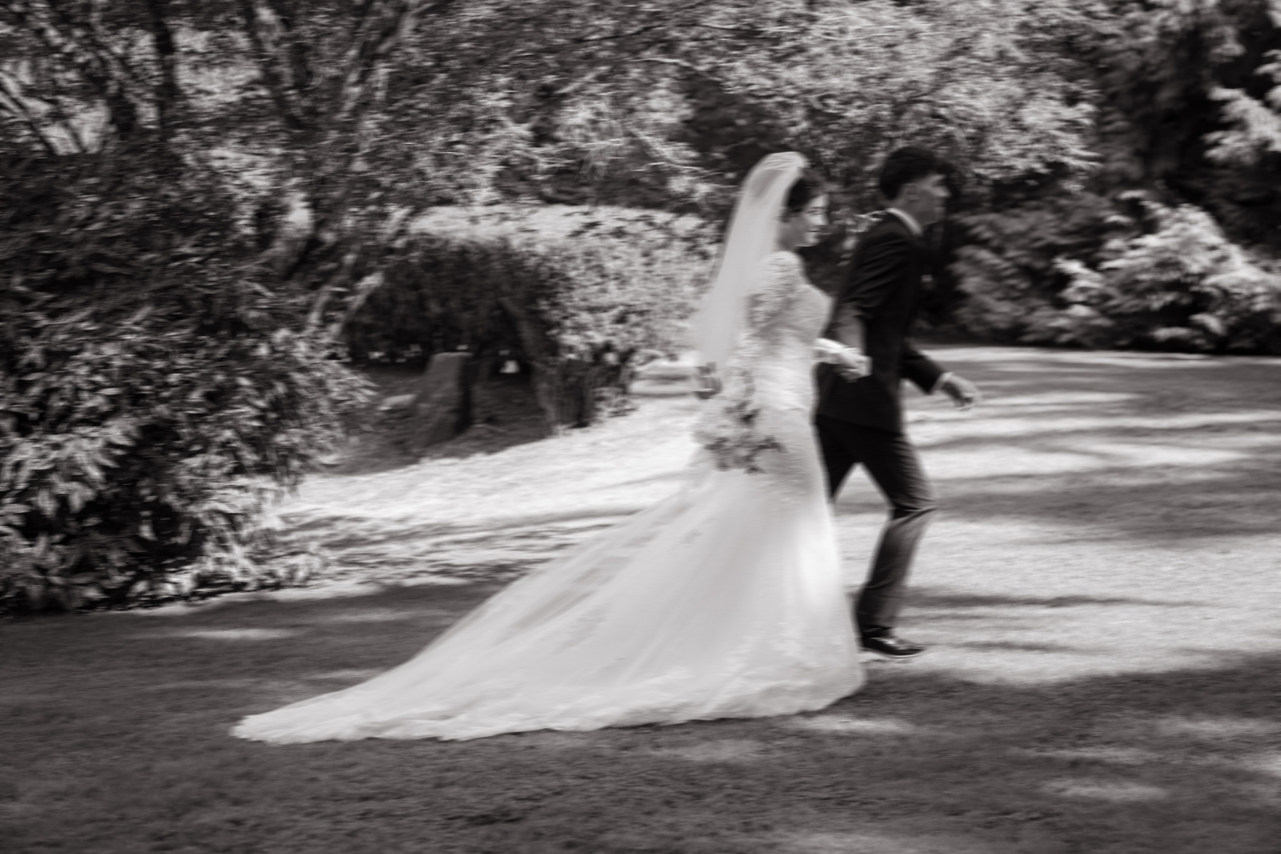 Arianna and Cristopher | Intimate Wedding. Photographer in Washington Sophia D