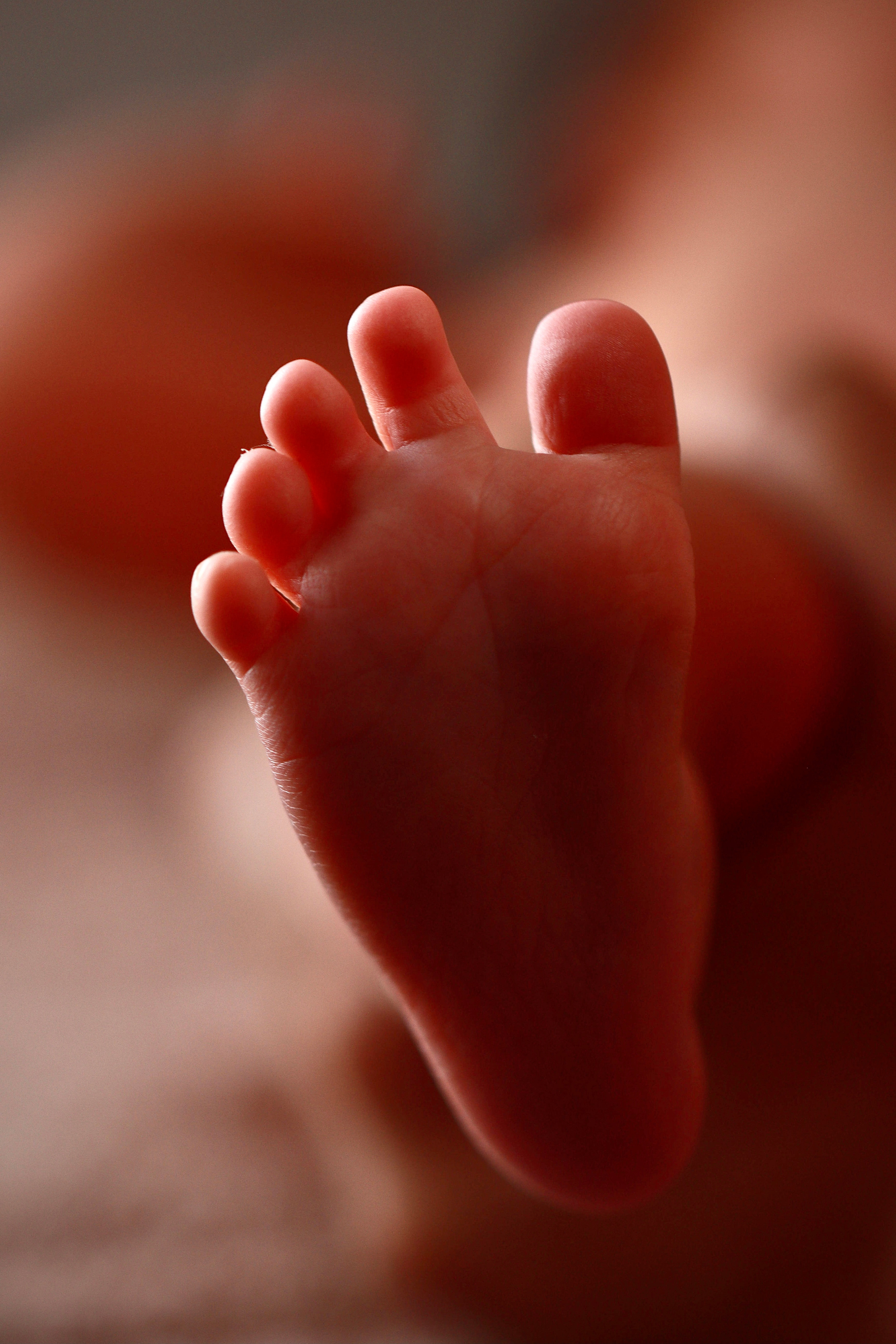 Тимур & Амир / Трир, Германия. Home