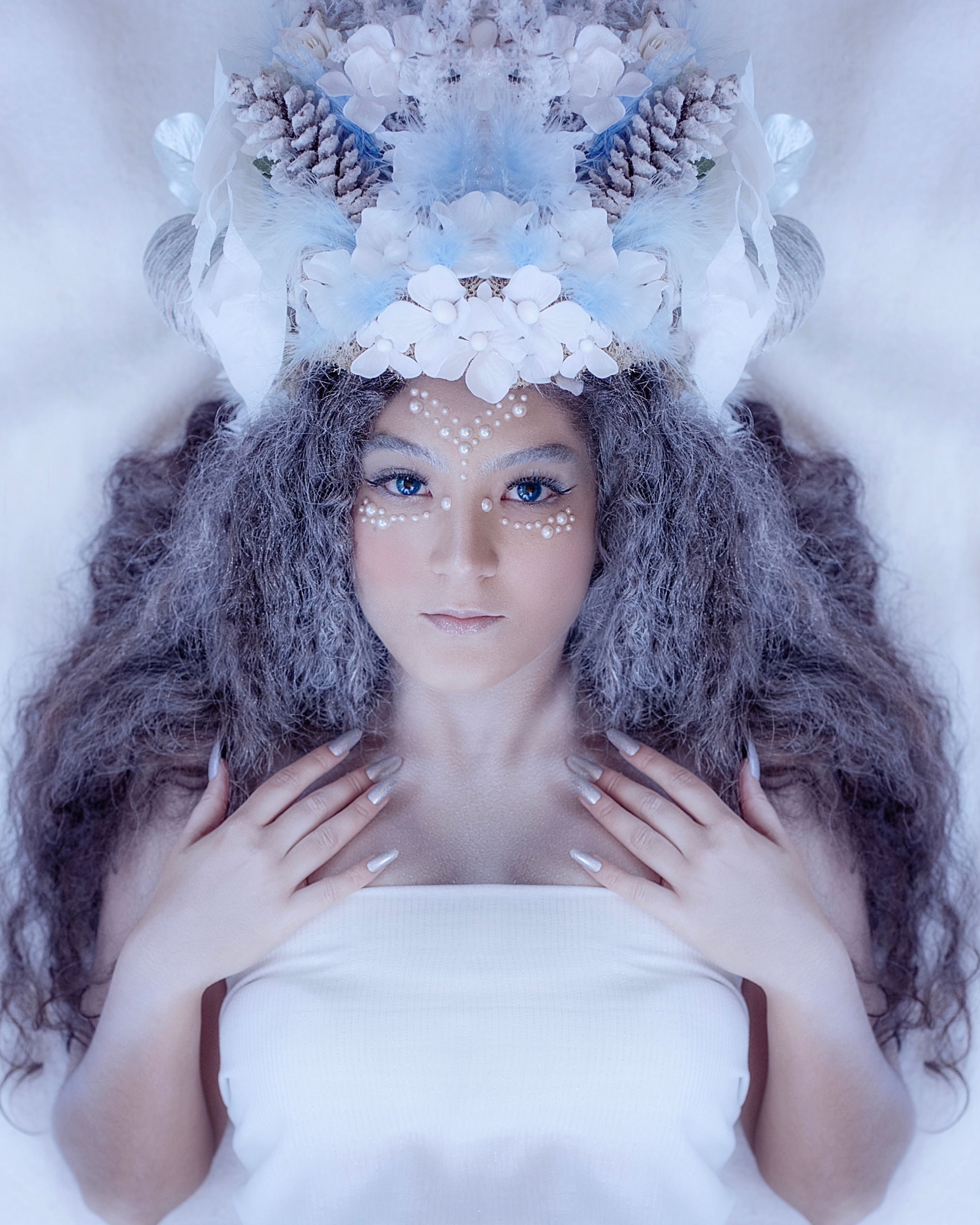 Forest Fairy (Winter). Home