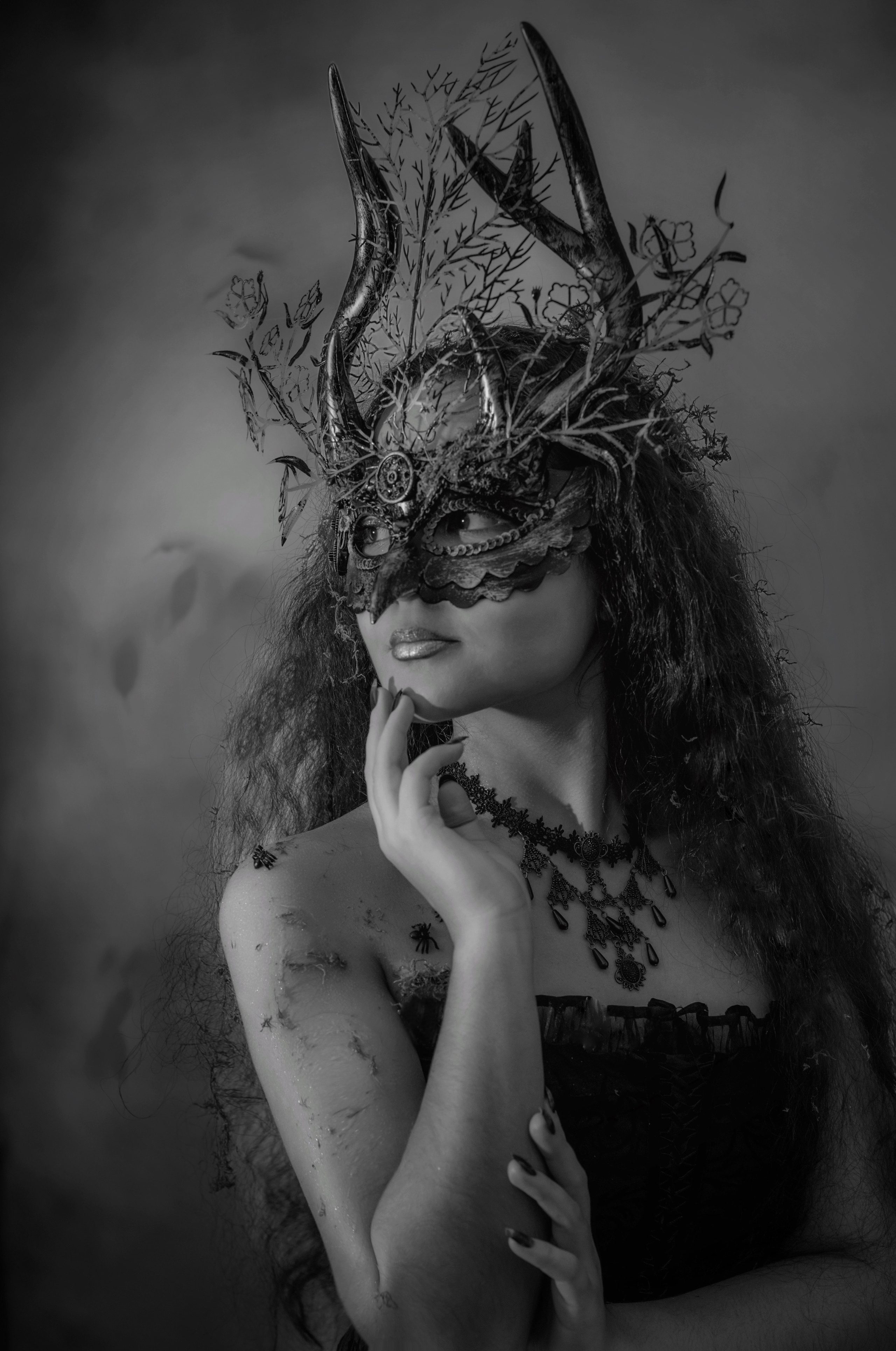 Forest Fairy (Night). Home