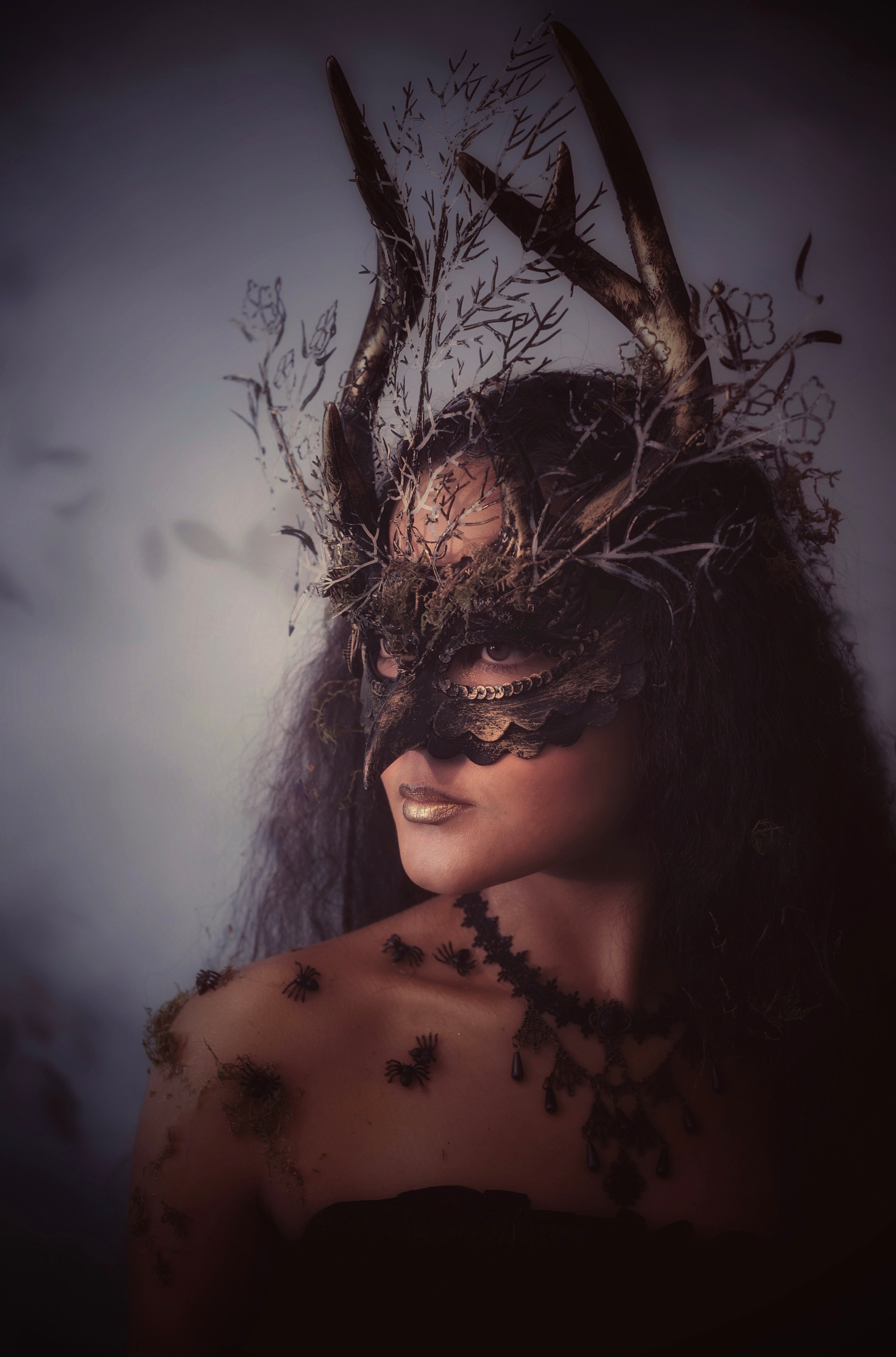 Forest Fairy (Night). Home