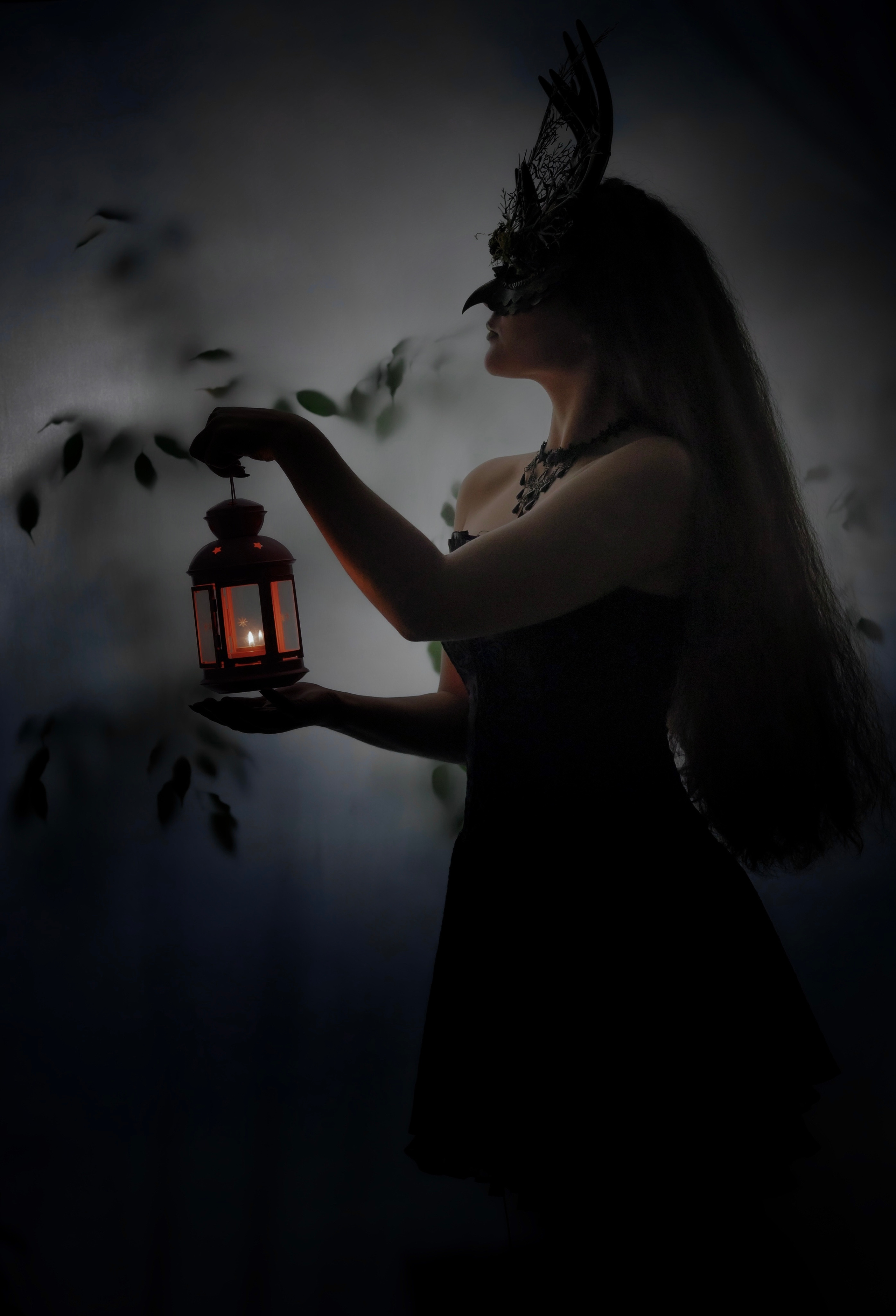 Forest Fairy (Night). Home