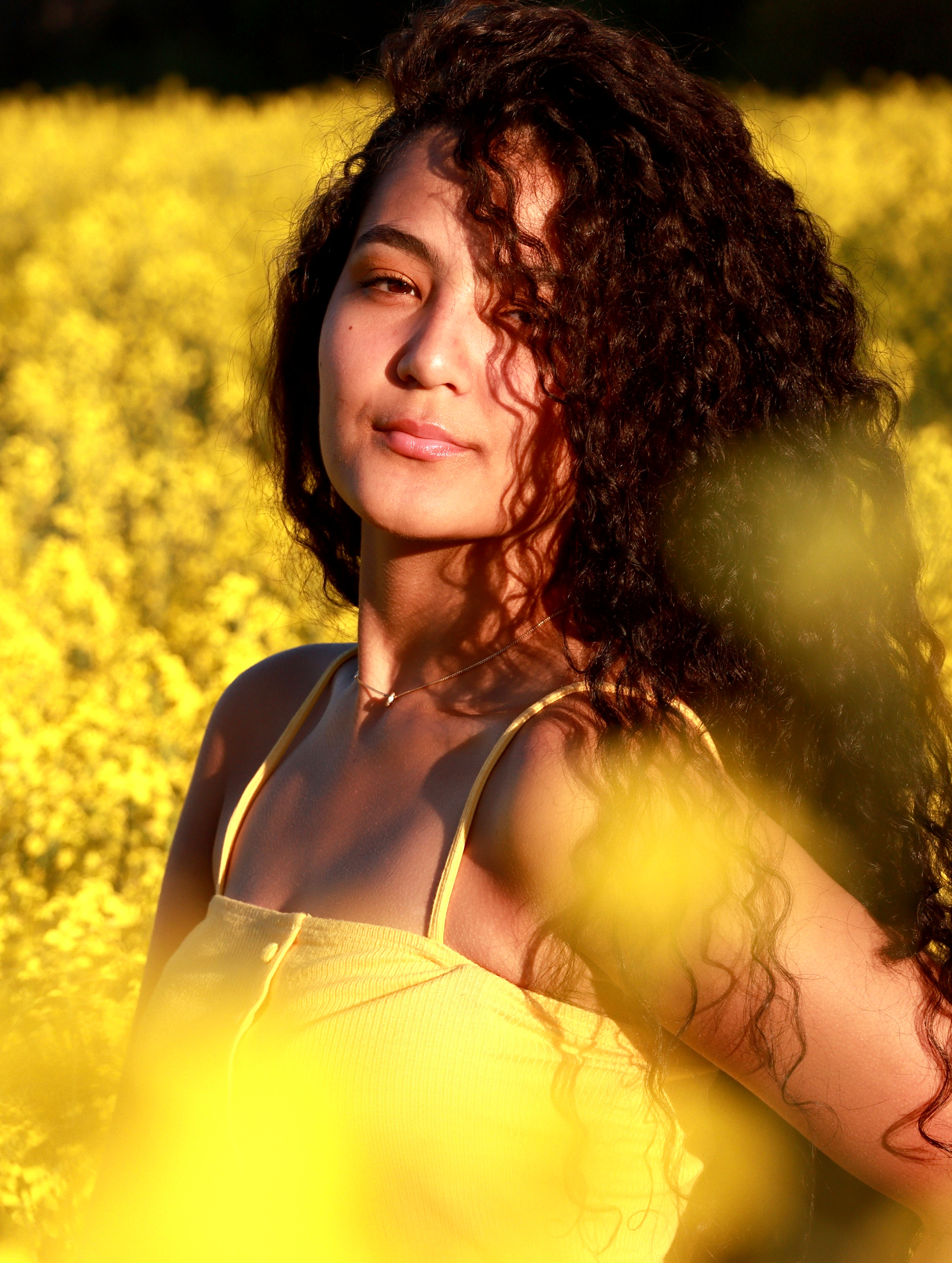 Альми / Швейцария. Home