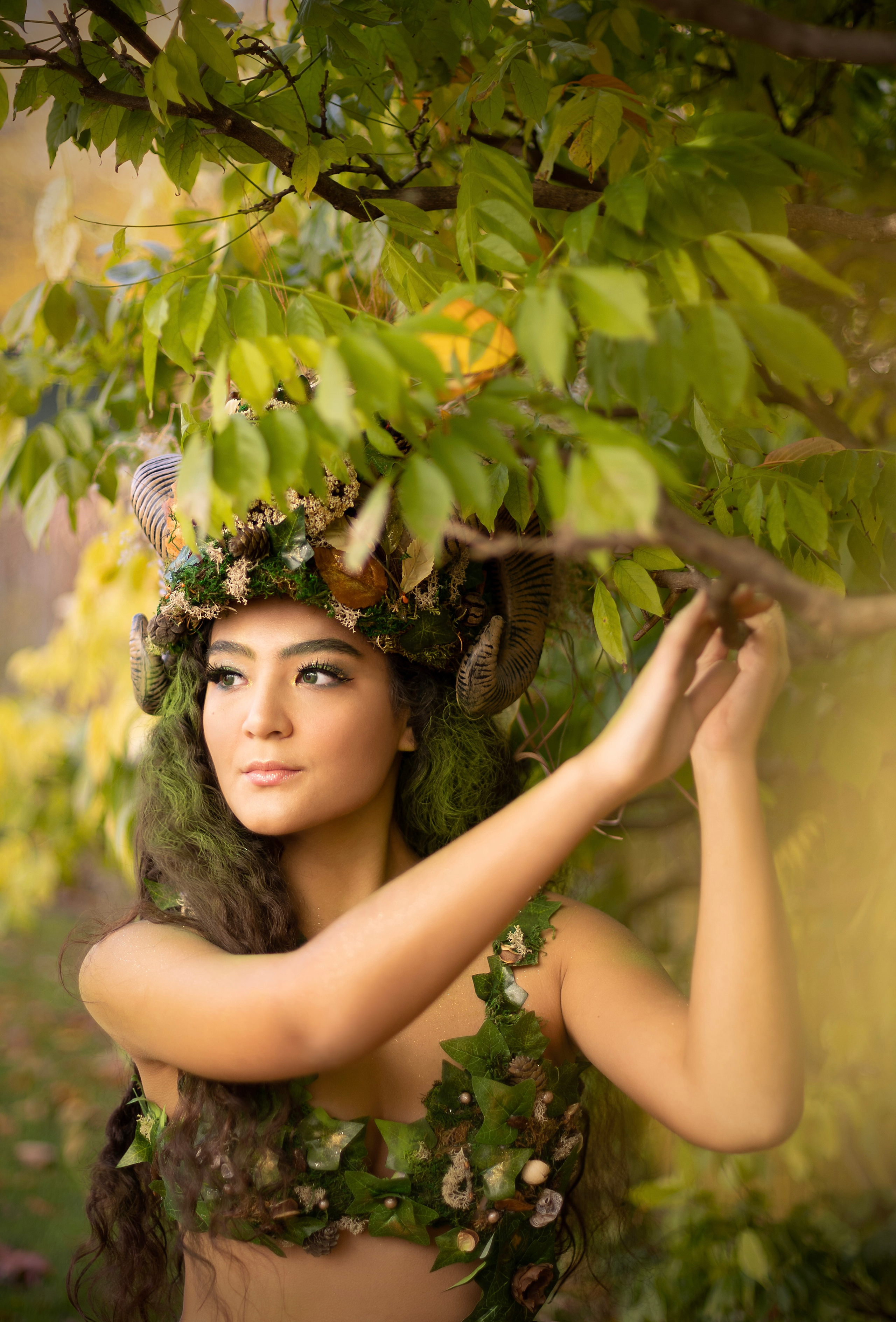 Forest Fairy (Summer). Home