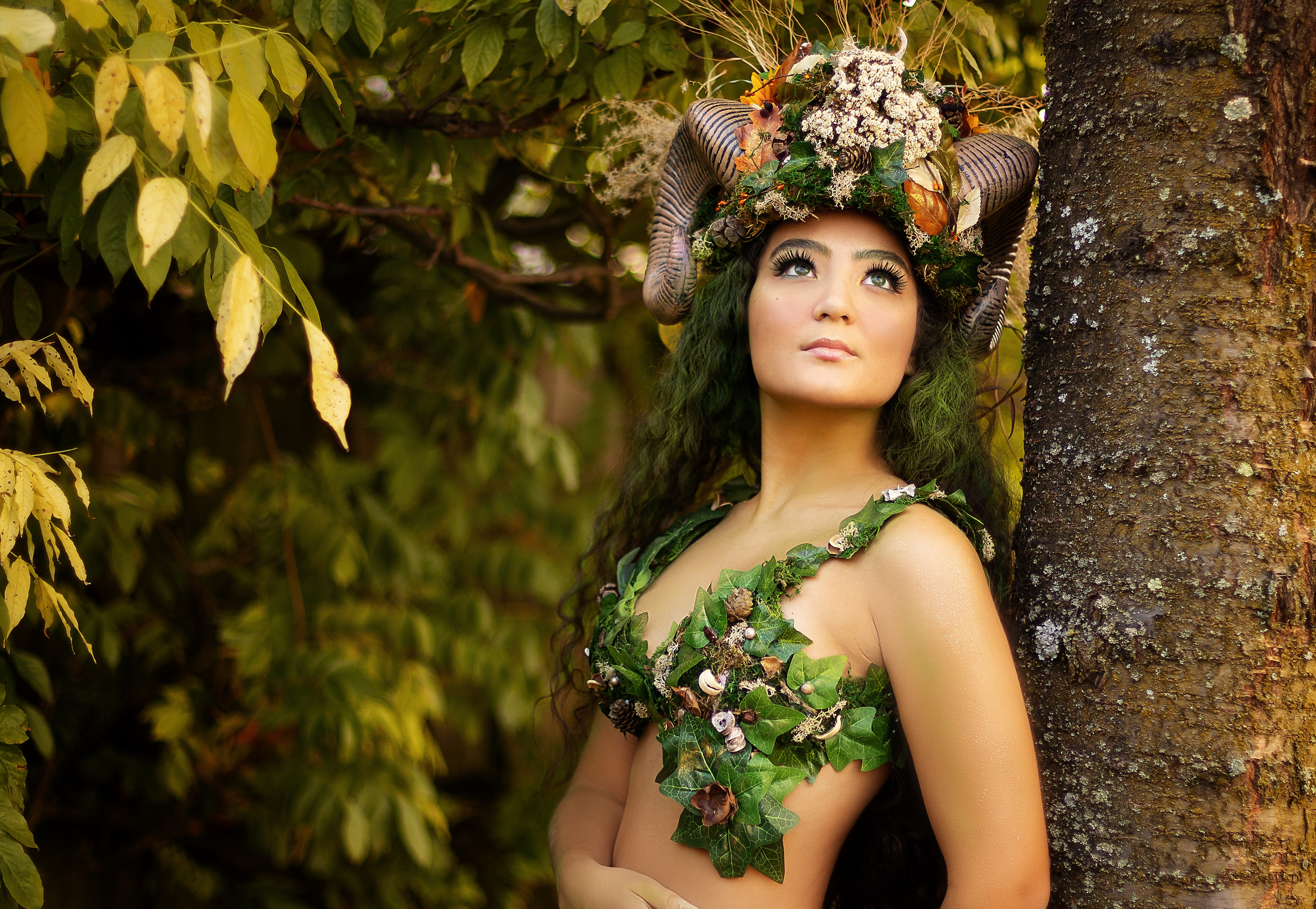 Forest Fairy (Summer). Home