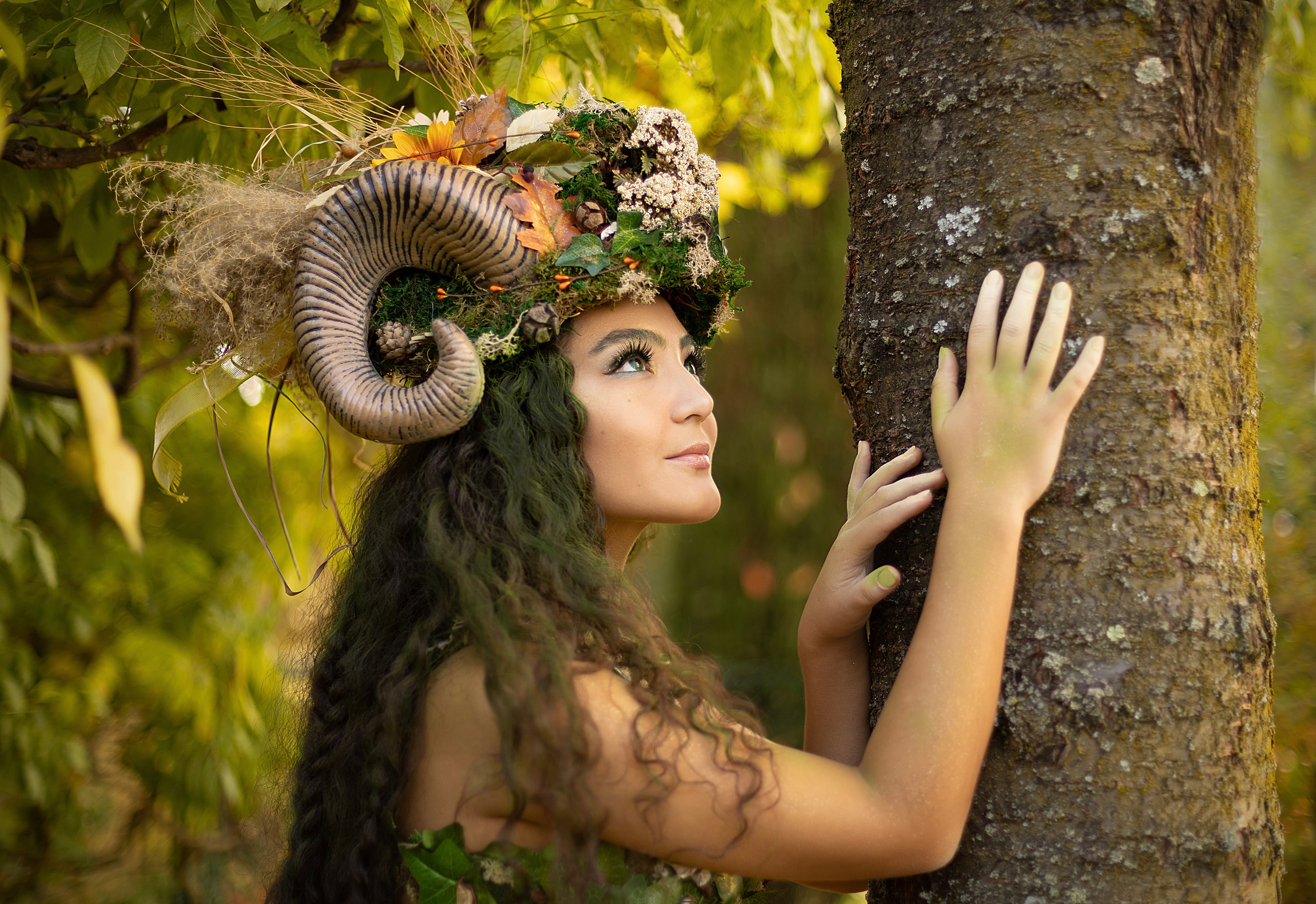 Forest Fairy (Summer). Home