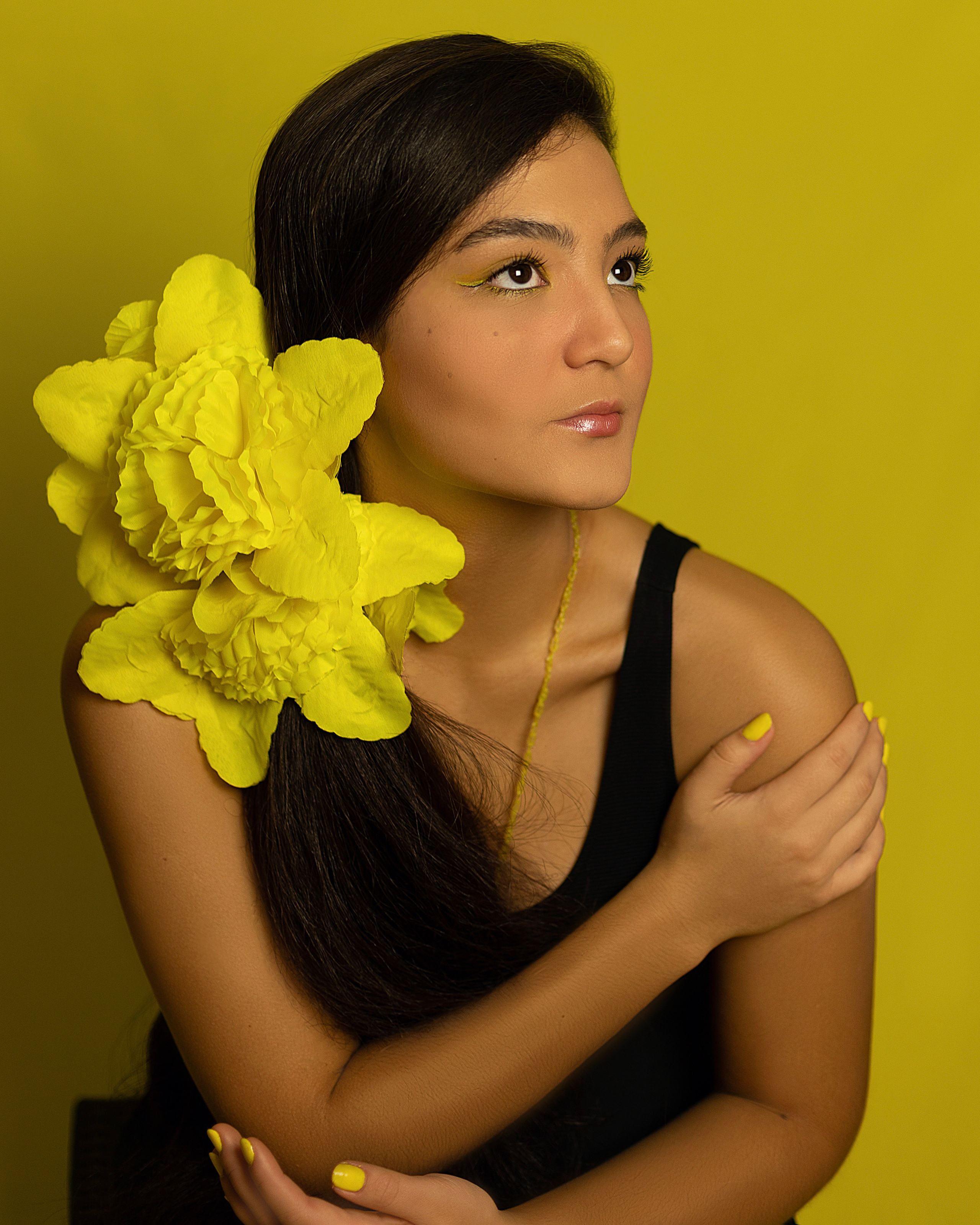 Альми / Швейцария. Home