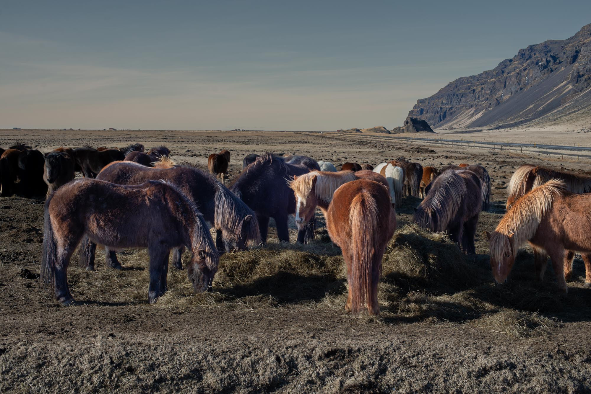 Iceland. Family Lifestyle Photography