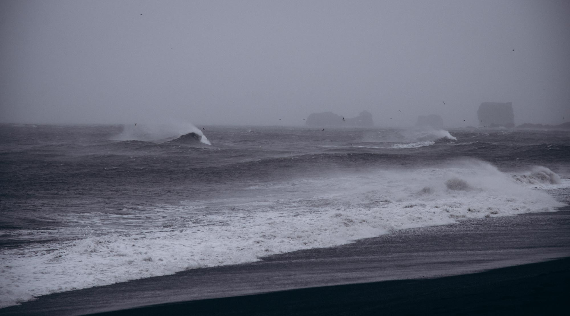 Elopement in Iceland. Family Lifestyle Photography