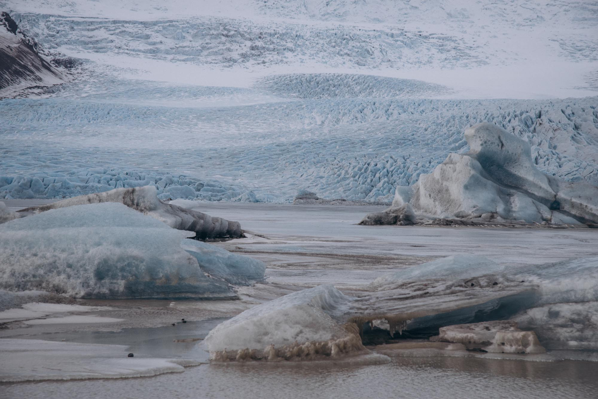 Iceland. Family Lifestyle Photography