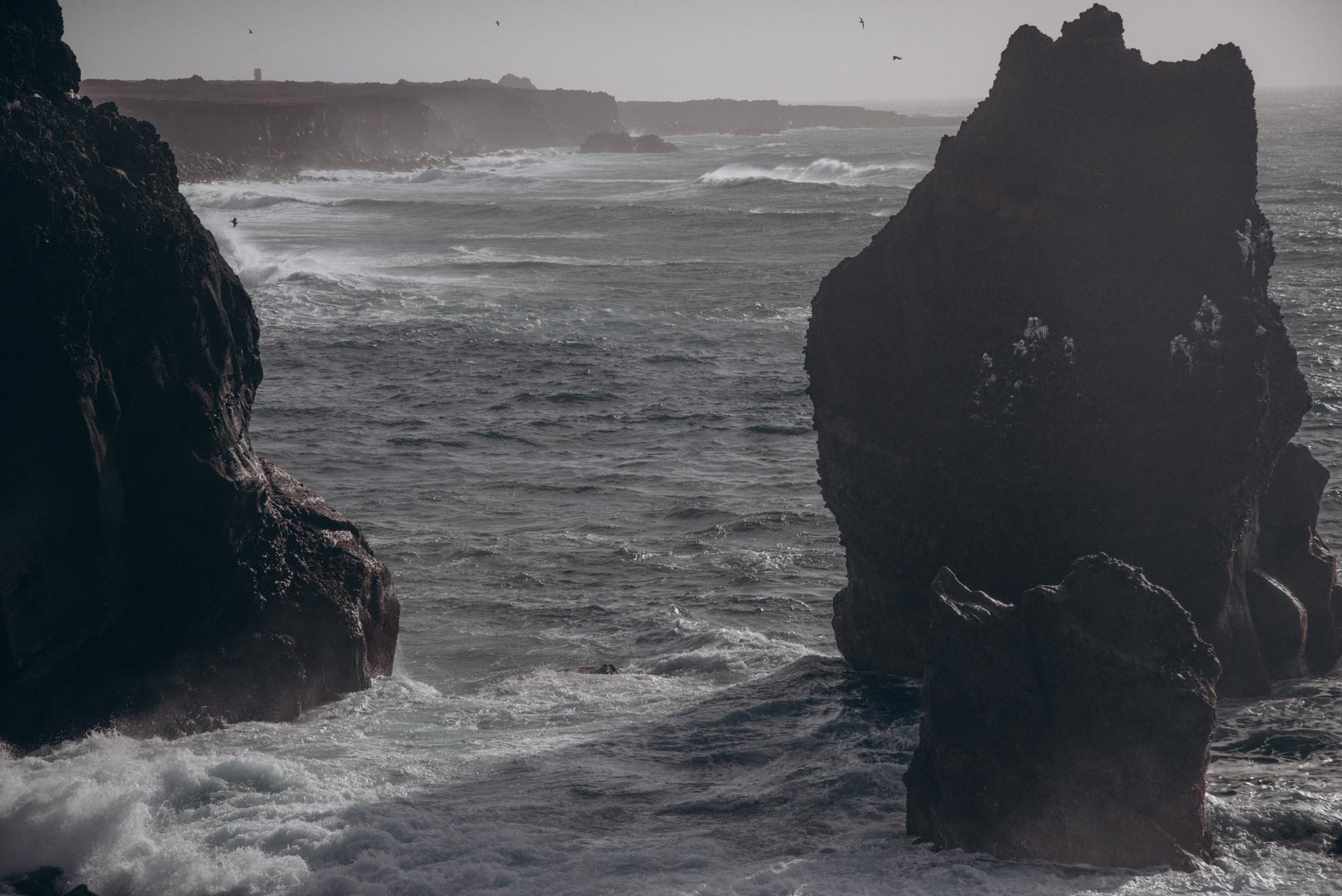 Iceland. Family Lifestyle Photography
