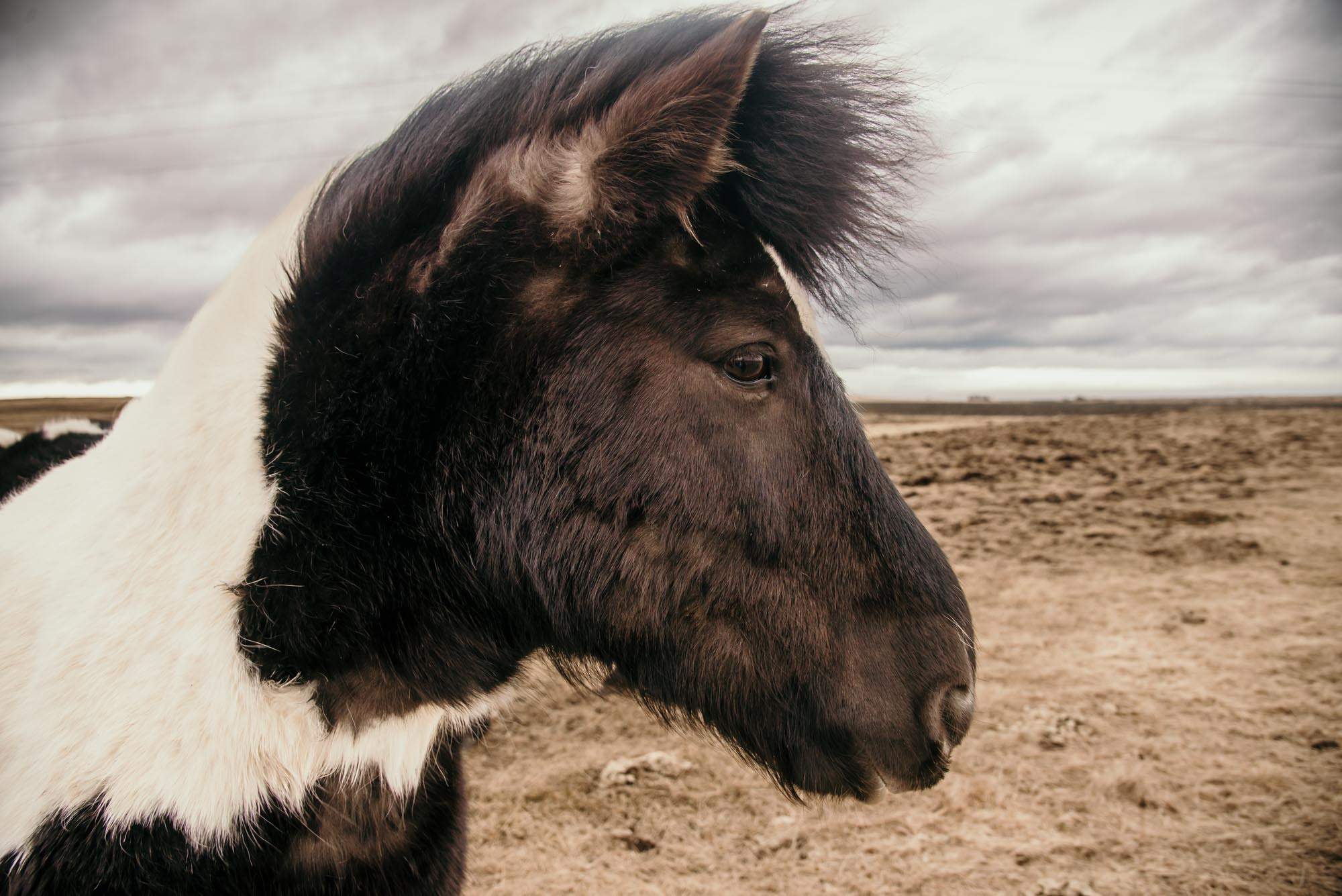 Iceland. Family Lifestyle Photography