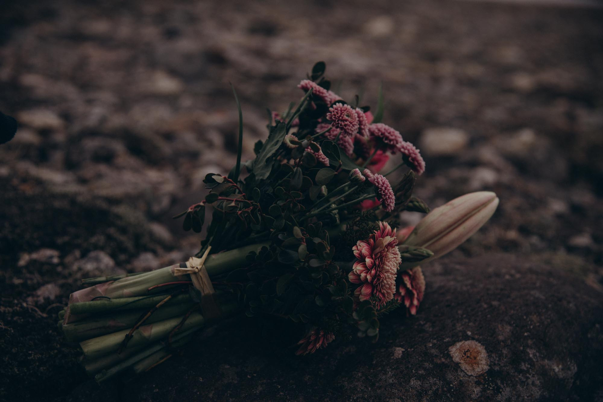 Elopement in Iceland. Family Lifestyle Photography