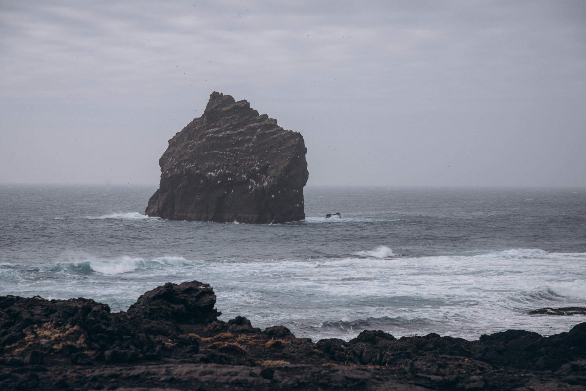 Iceland. Family Lifestyle Photography